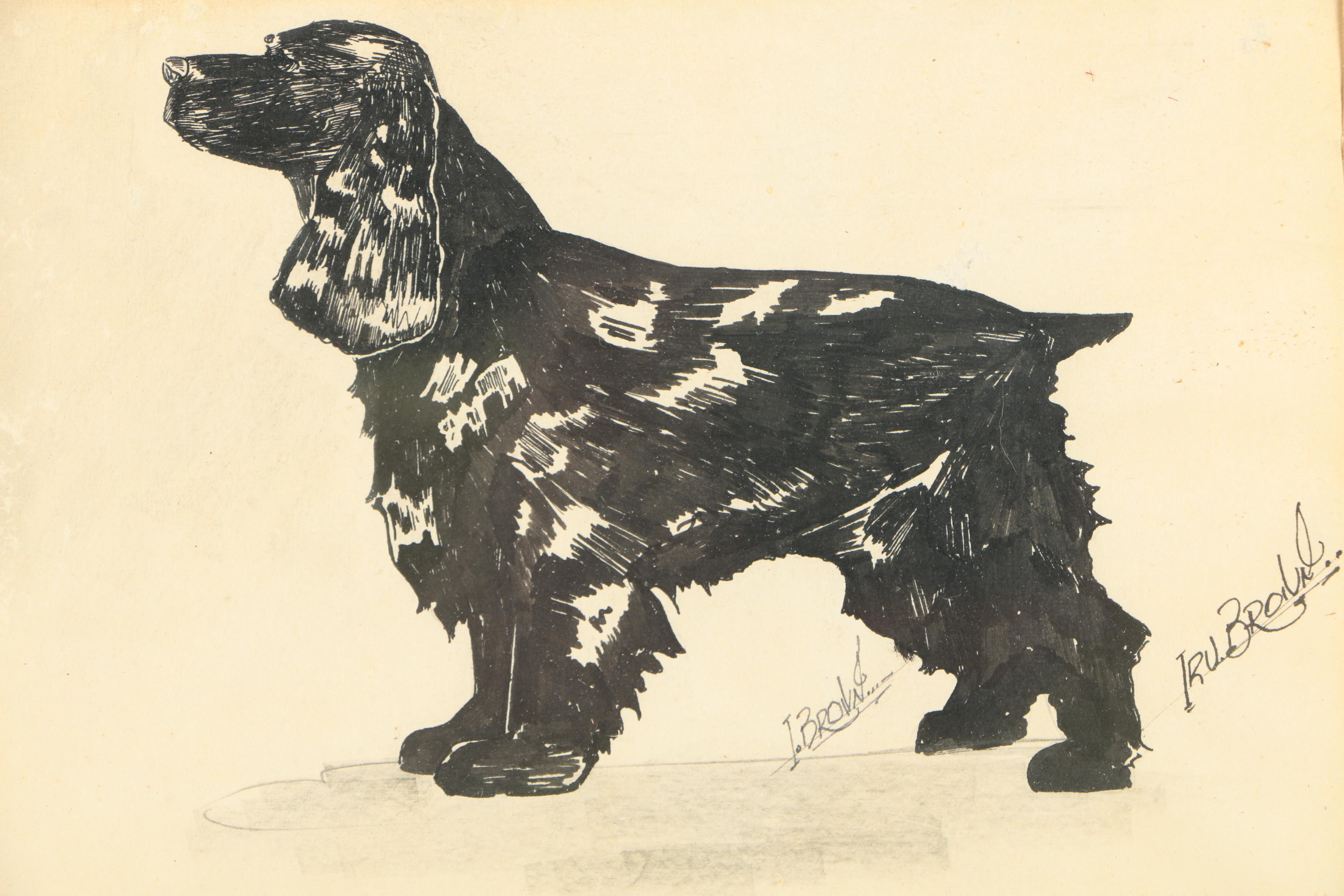 Irv Brown and Willie Minchaca Drawings of Cocker Spaniels