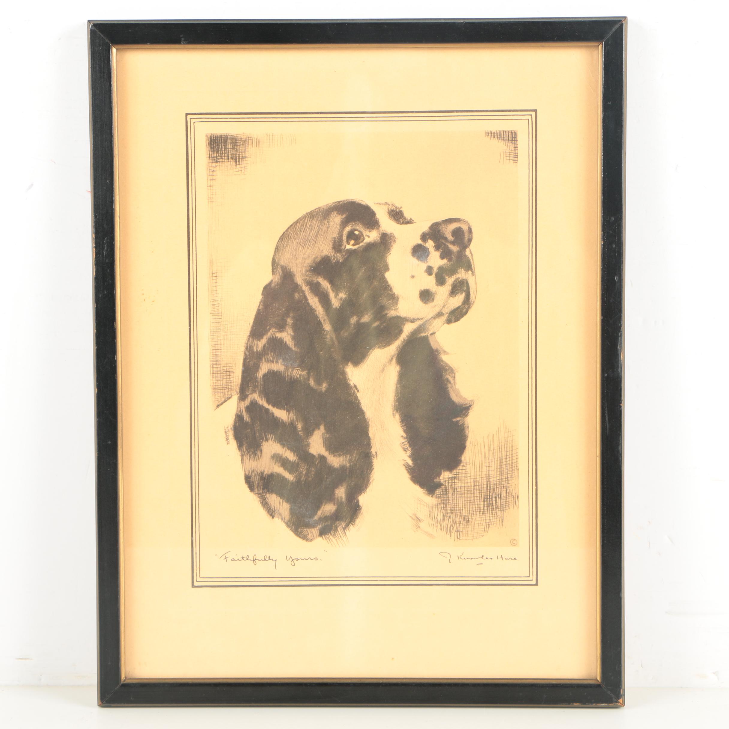 Prints of Dogs