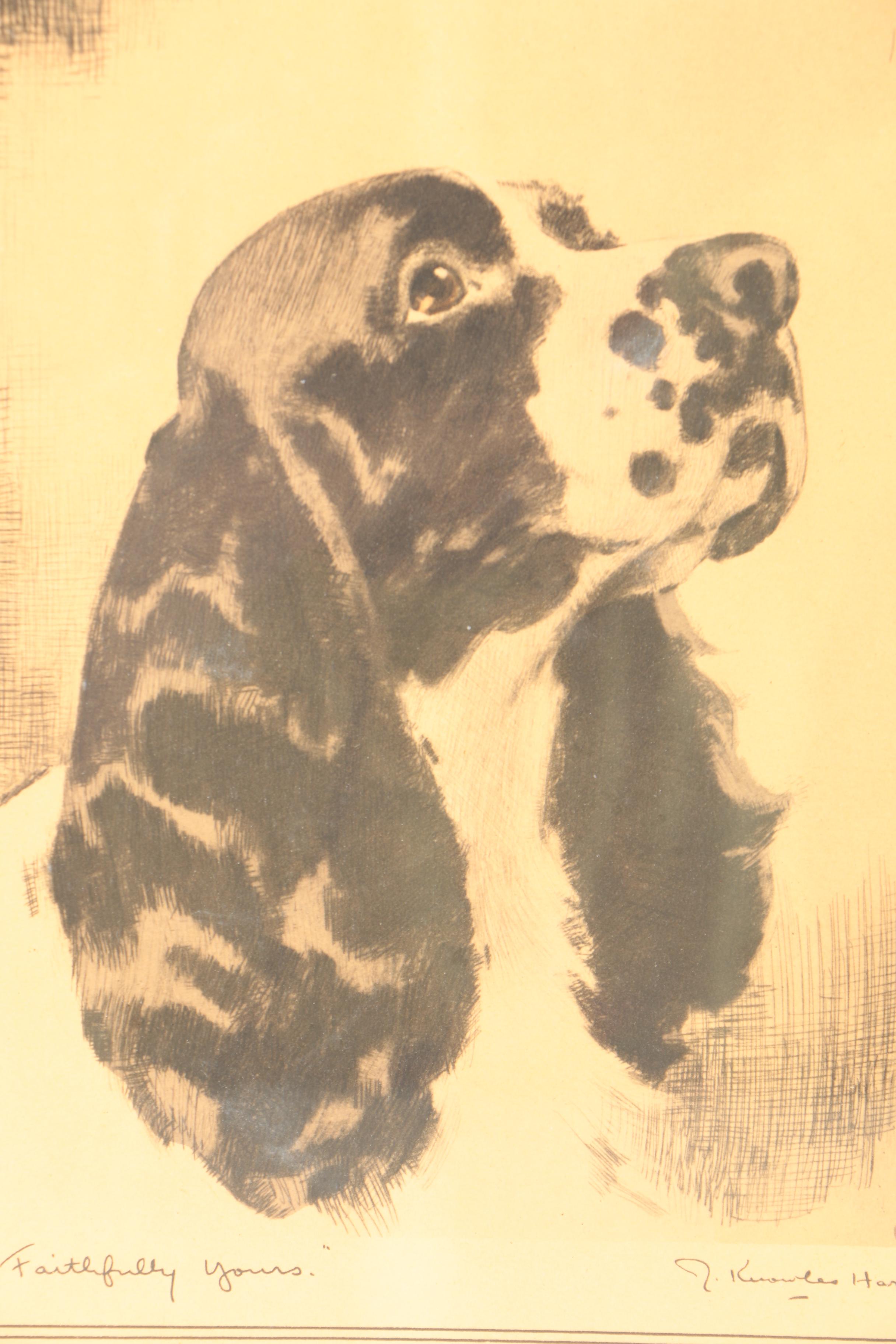 Prints of Dogs