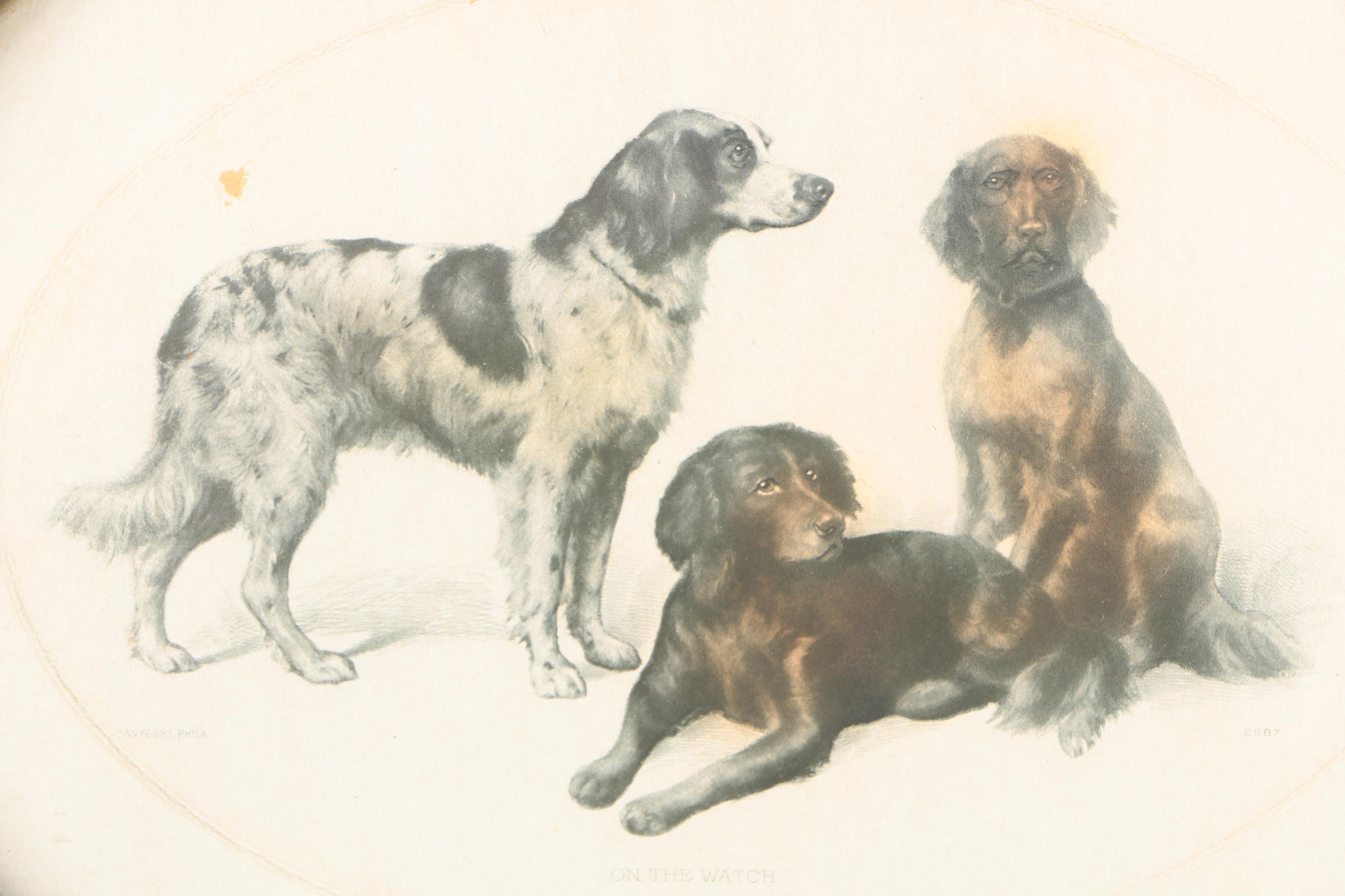 Prints of Dogs