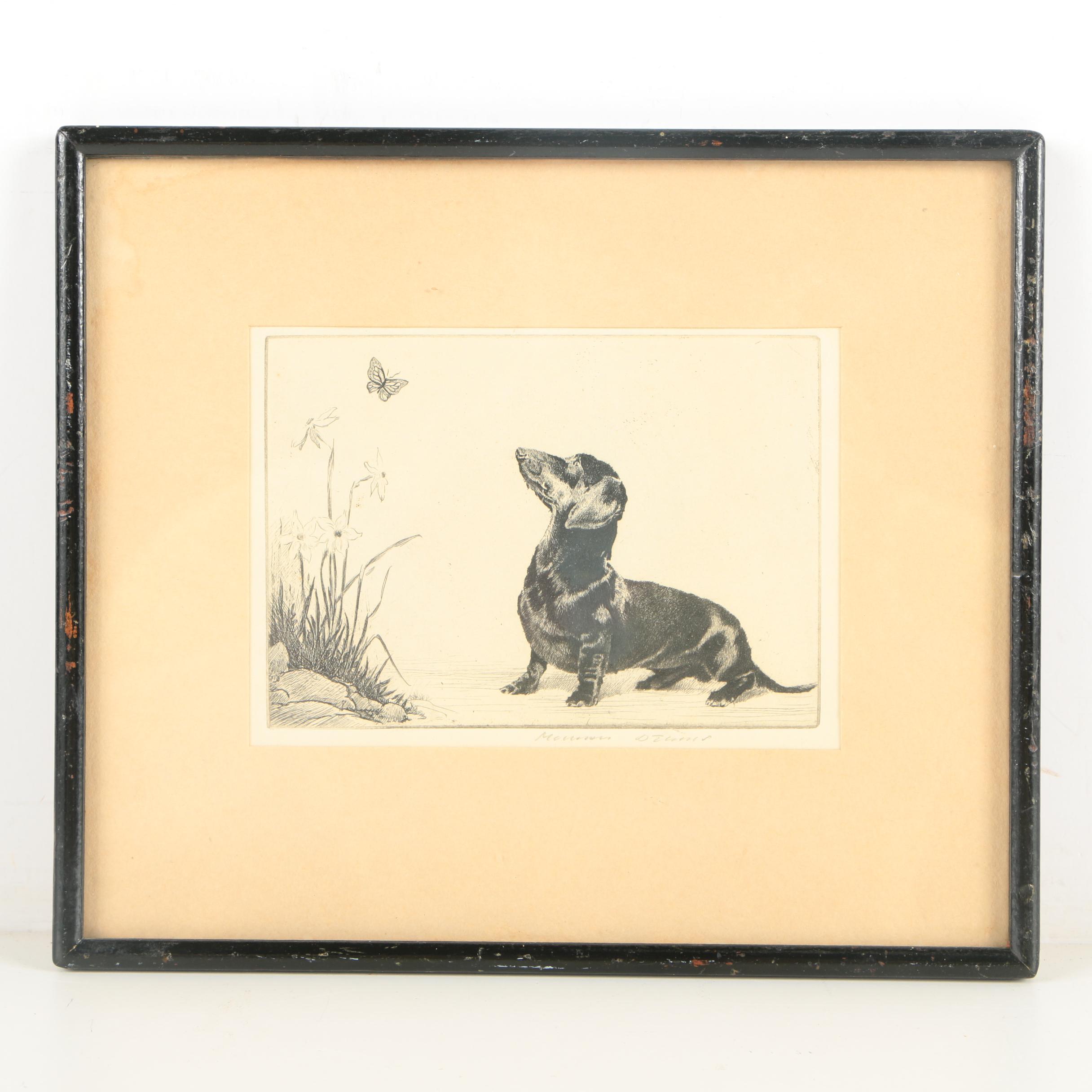 Prints of Dogs