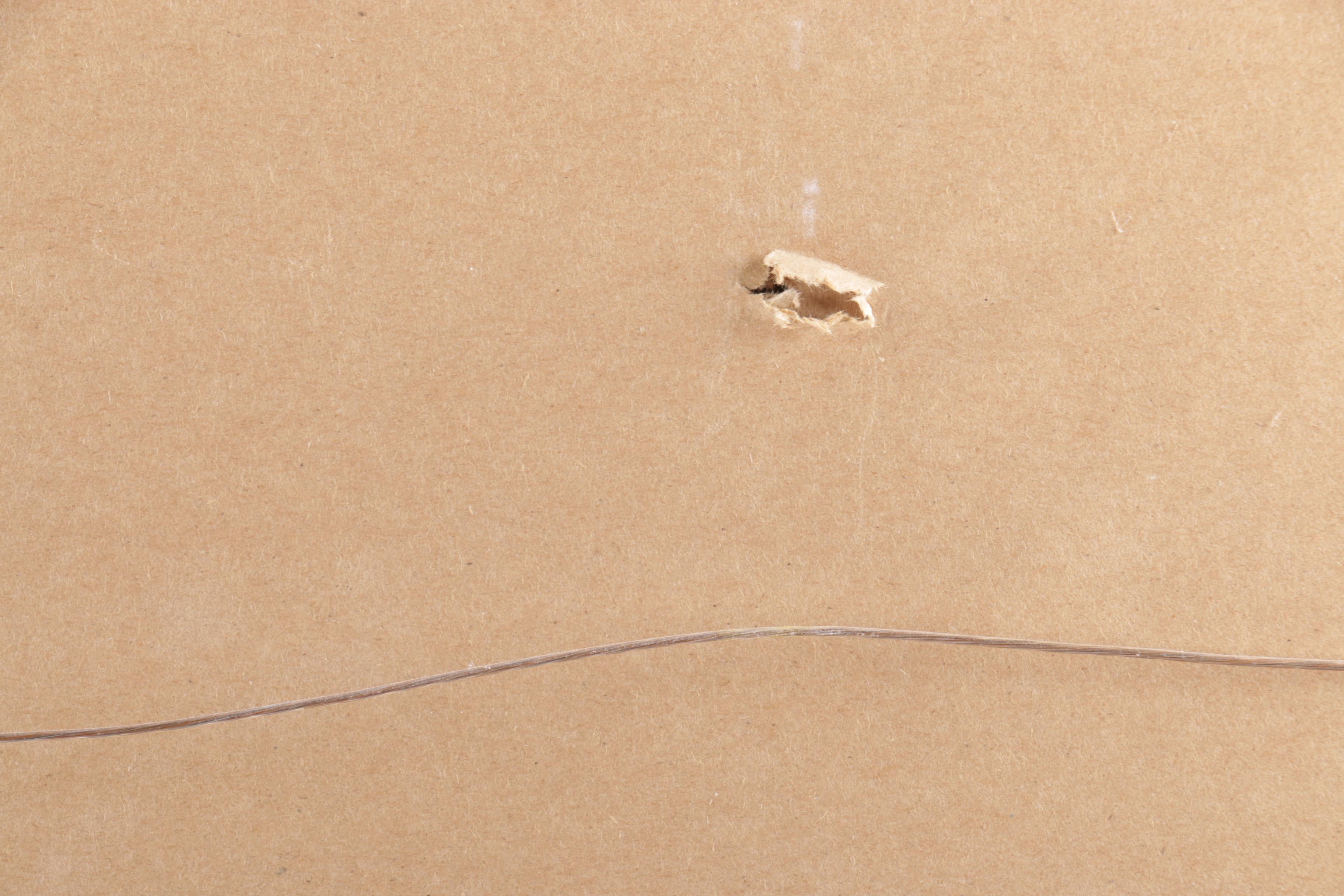 Signed Singletary, Butkus, Urlacher Chicago Bears Framed Print