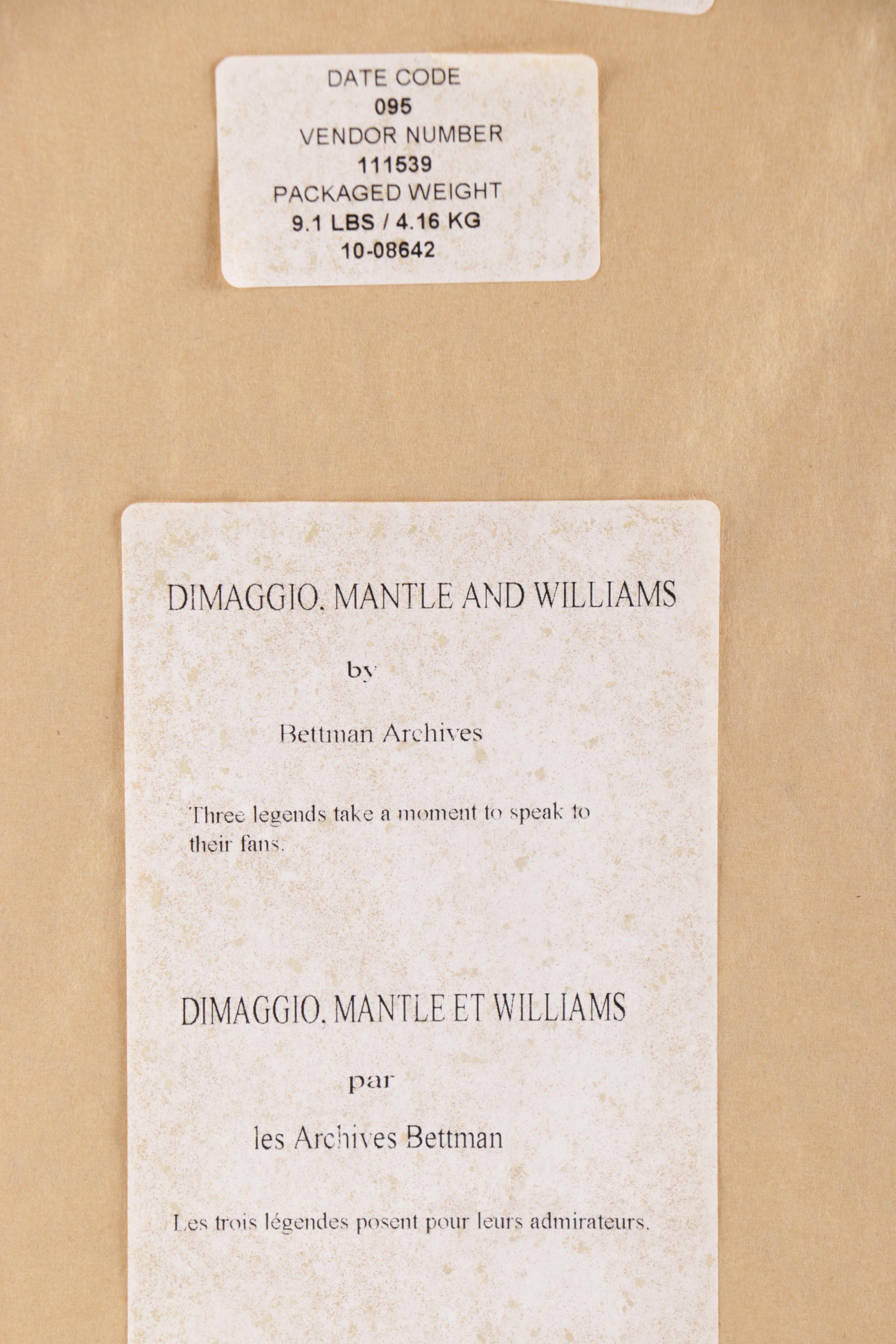 Joe Di Maggio, Mickey Mantle, and Ted Williams Photograph