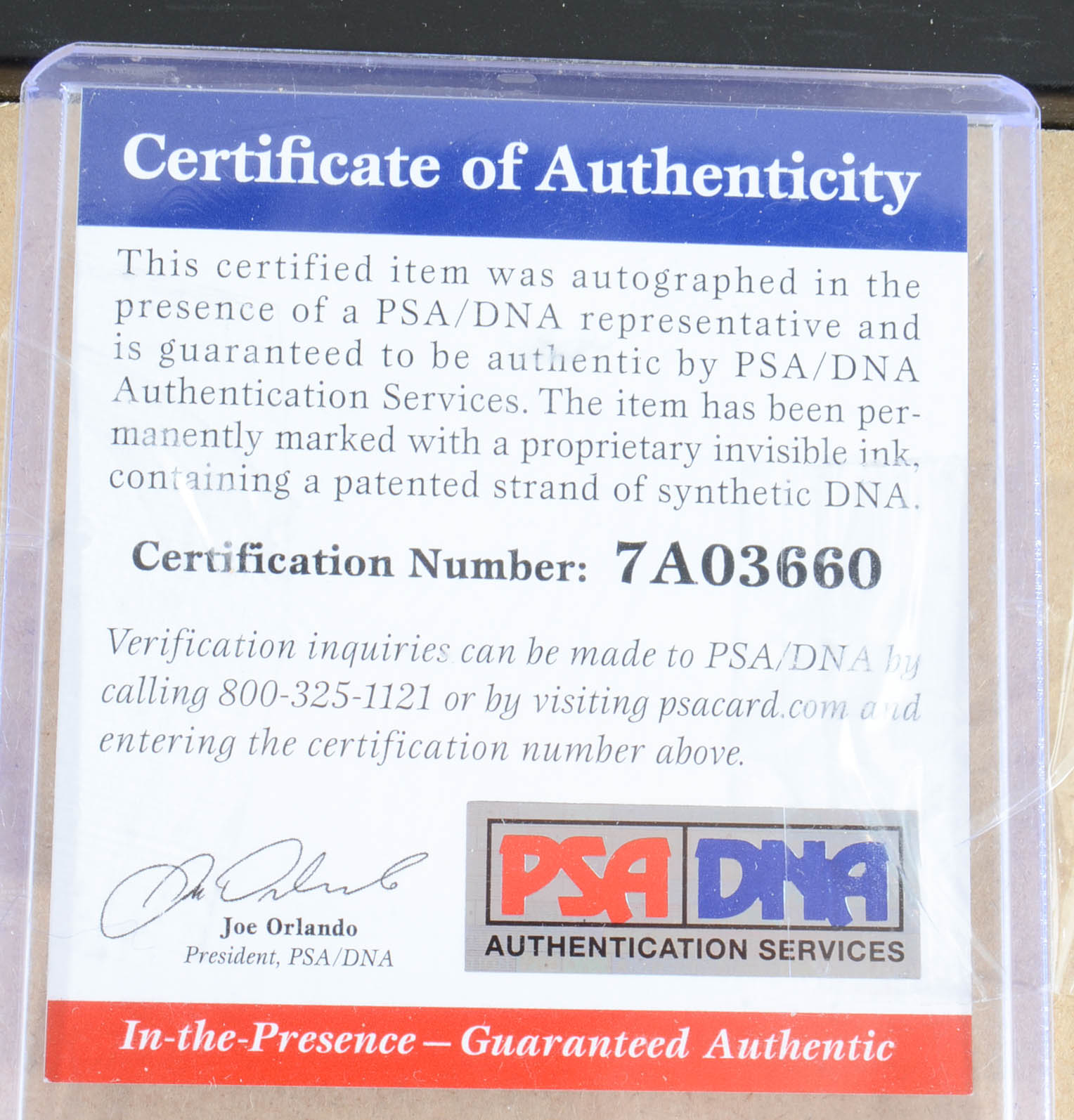 William Shatner Signed "Star Trek" Photo  COA