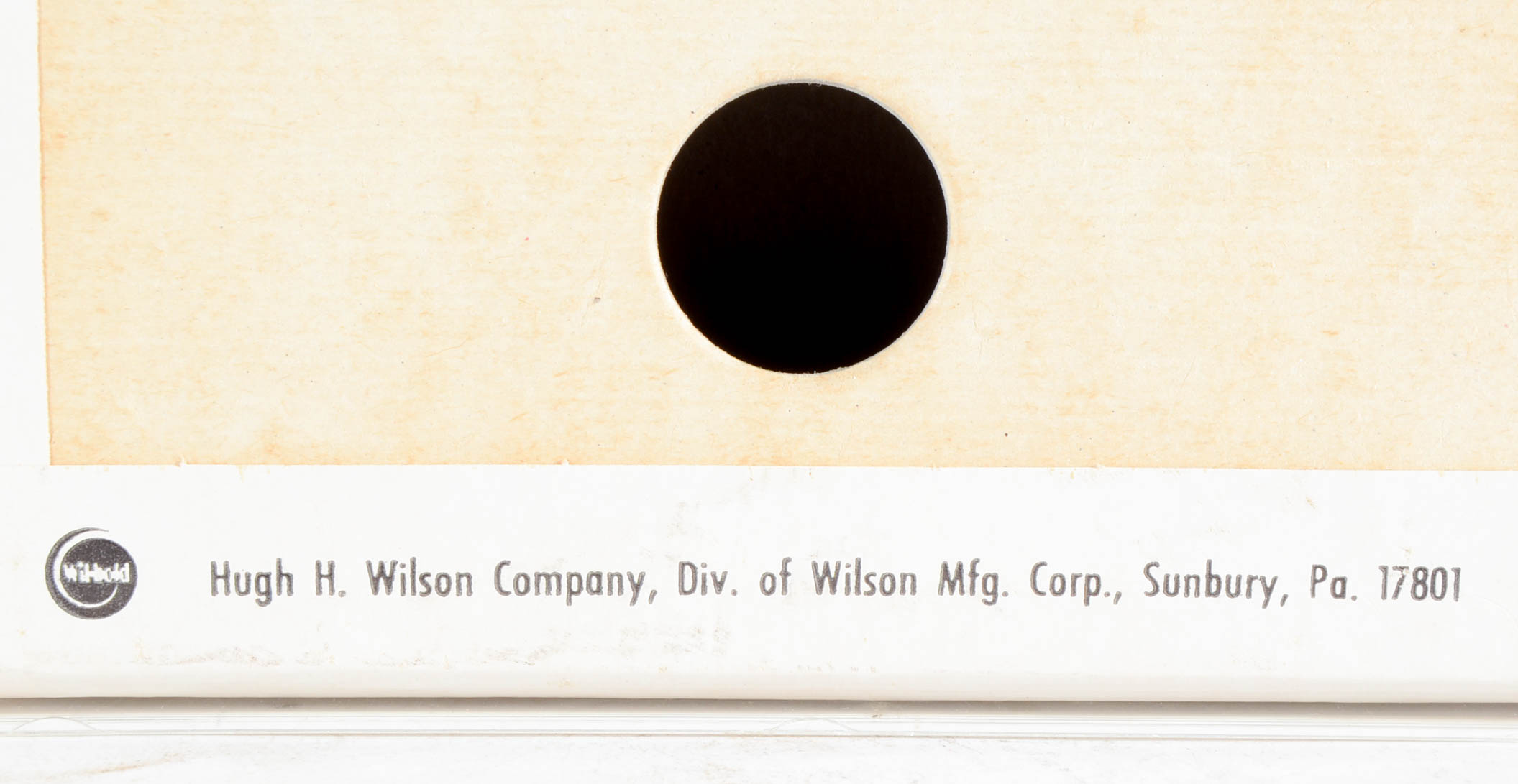 Giclee on Glossy Photo Paper after Saito Ink Portrait