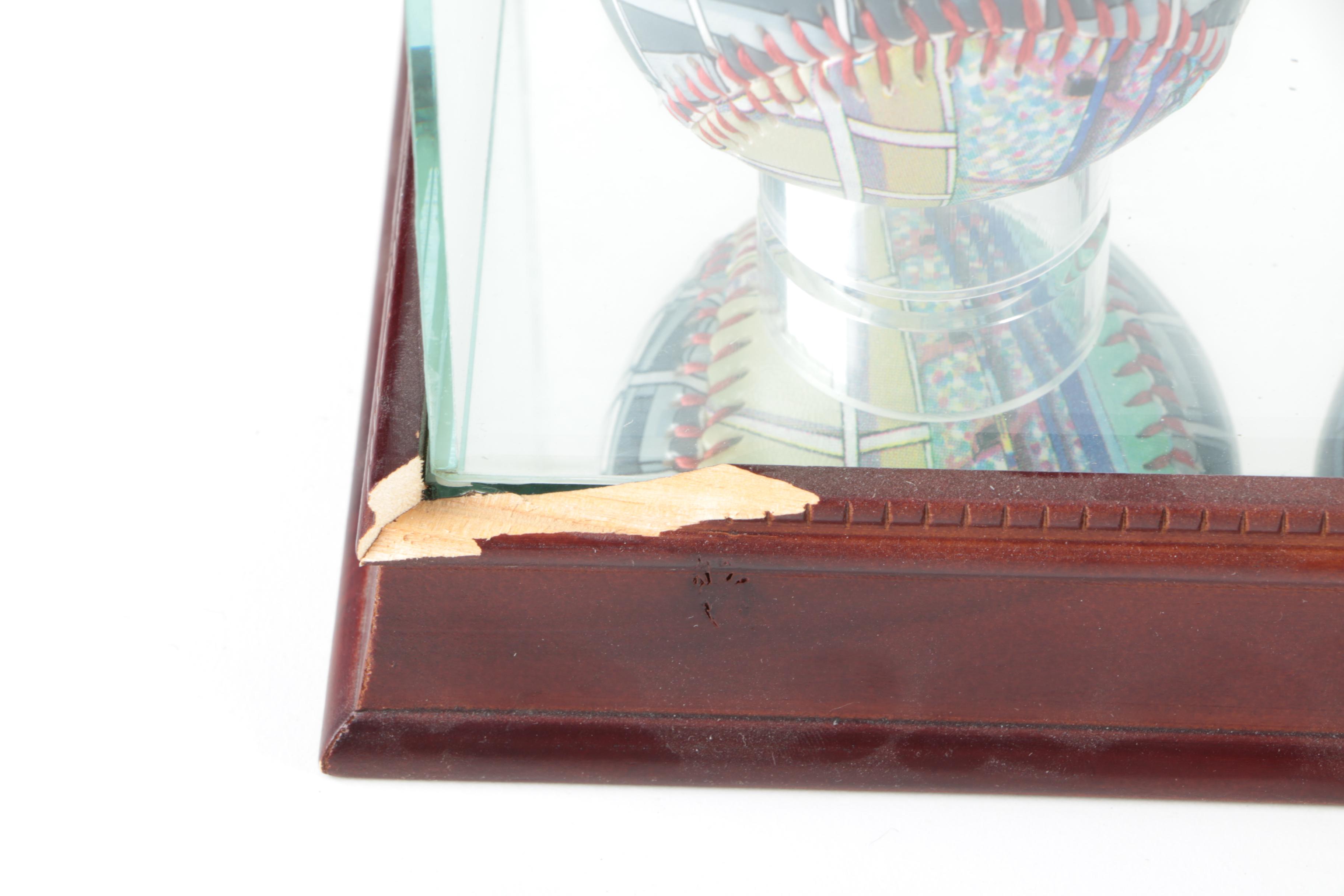 Unforgettaball! Limited Edition Collector Baseballs