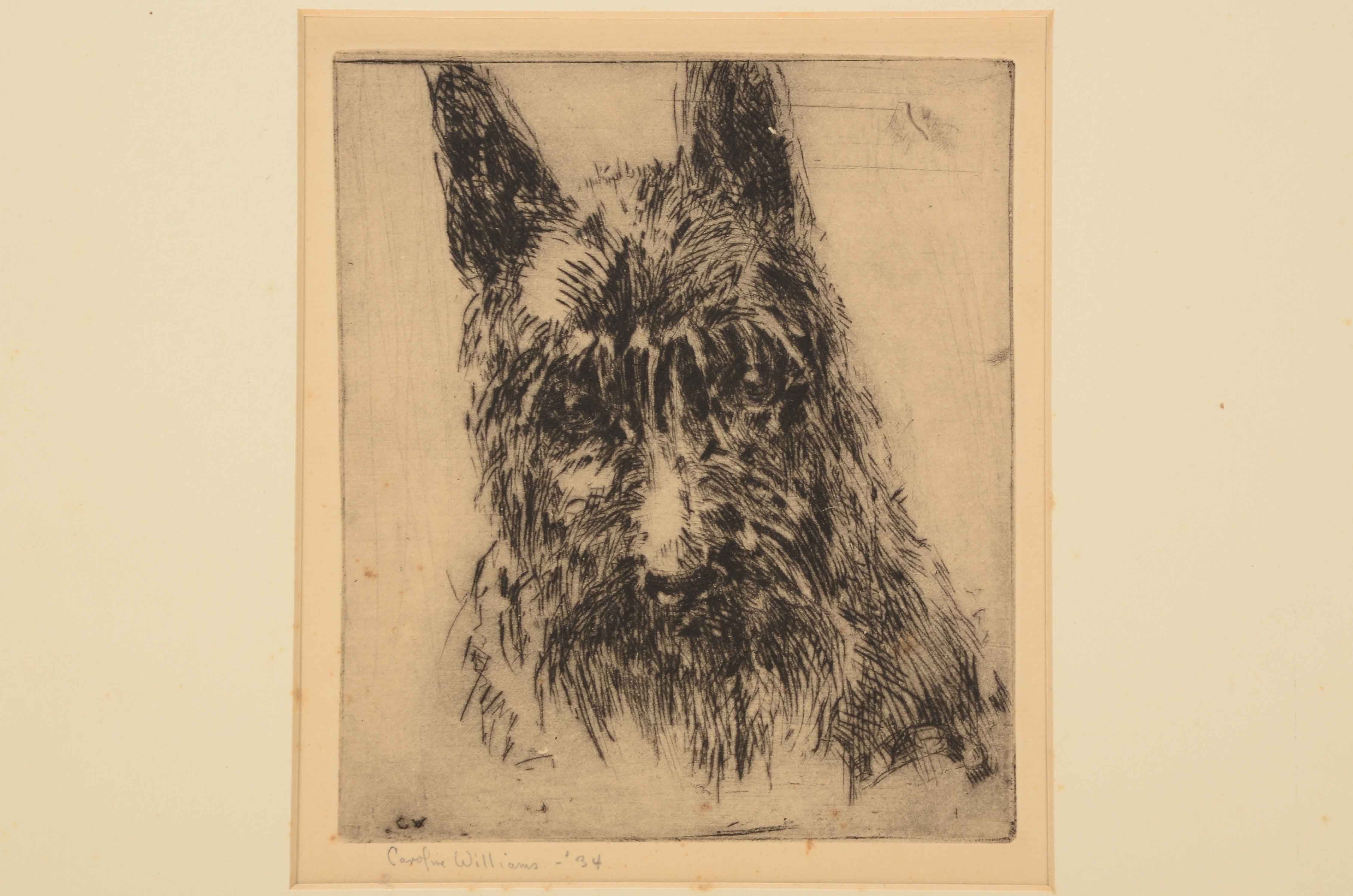 Caroline Williams Signed Original Etching of a Dog