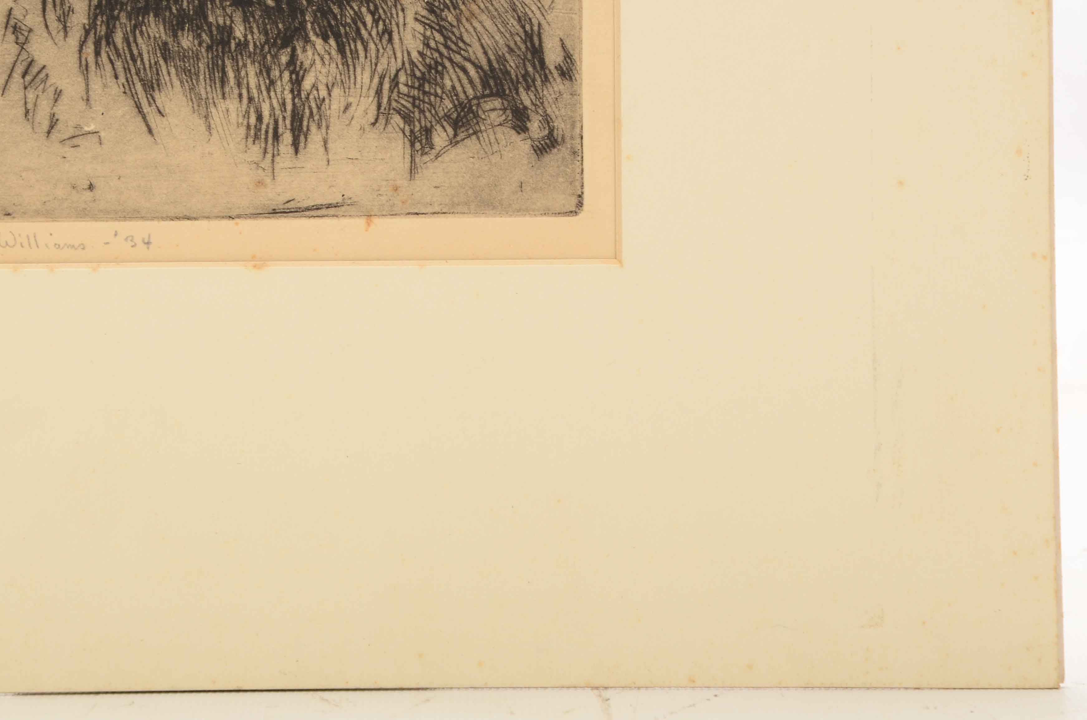 Caroline Williams Signed Original Etching of a Dog