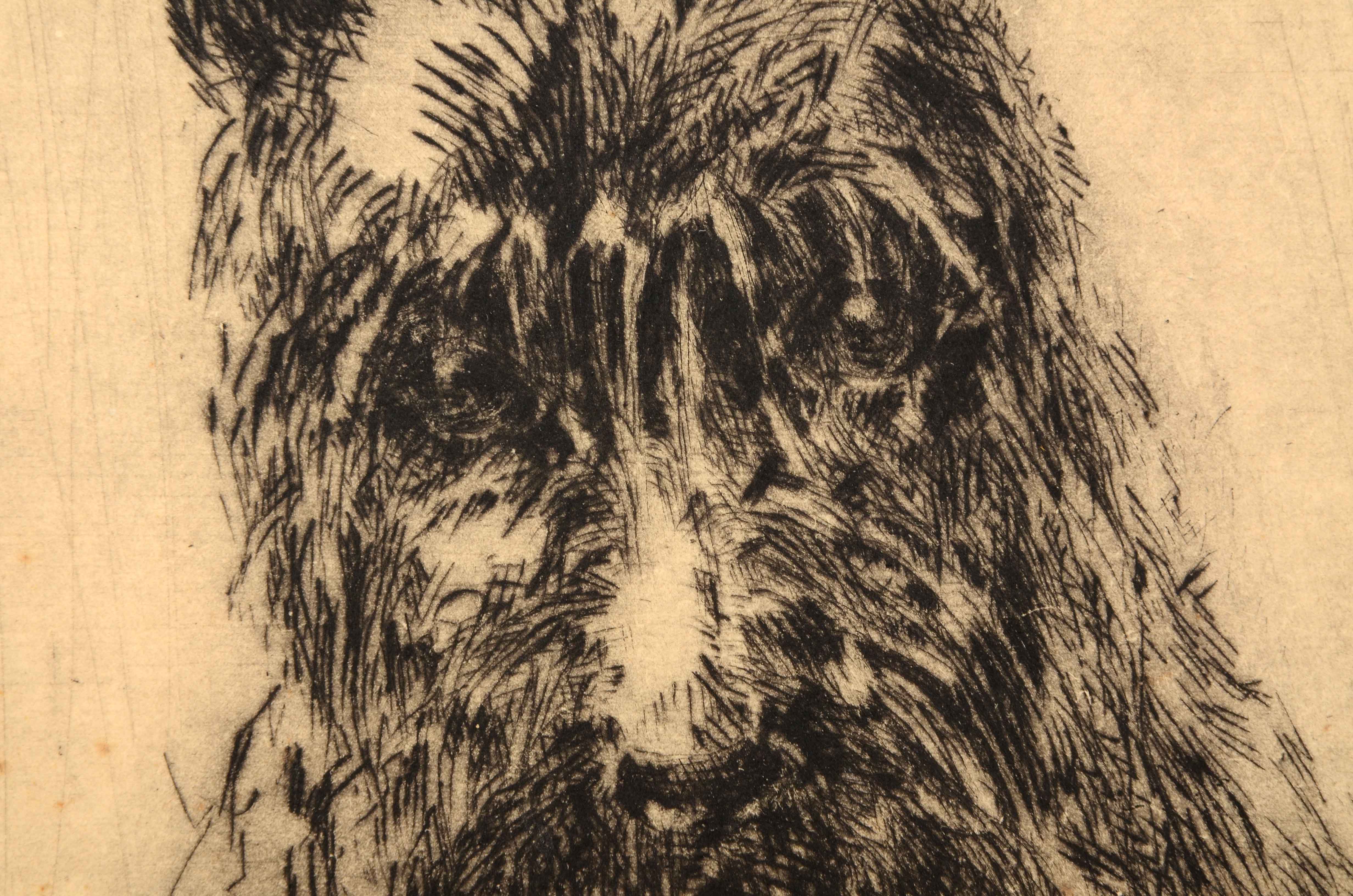 Caroline Williams Signed Original Etching of a Dog