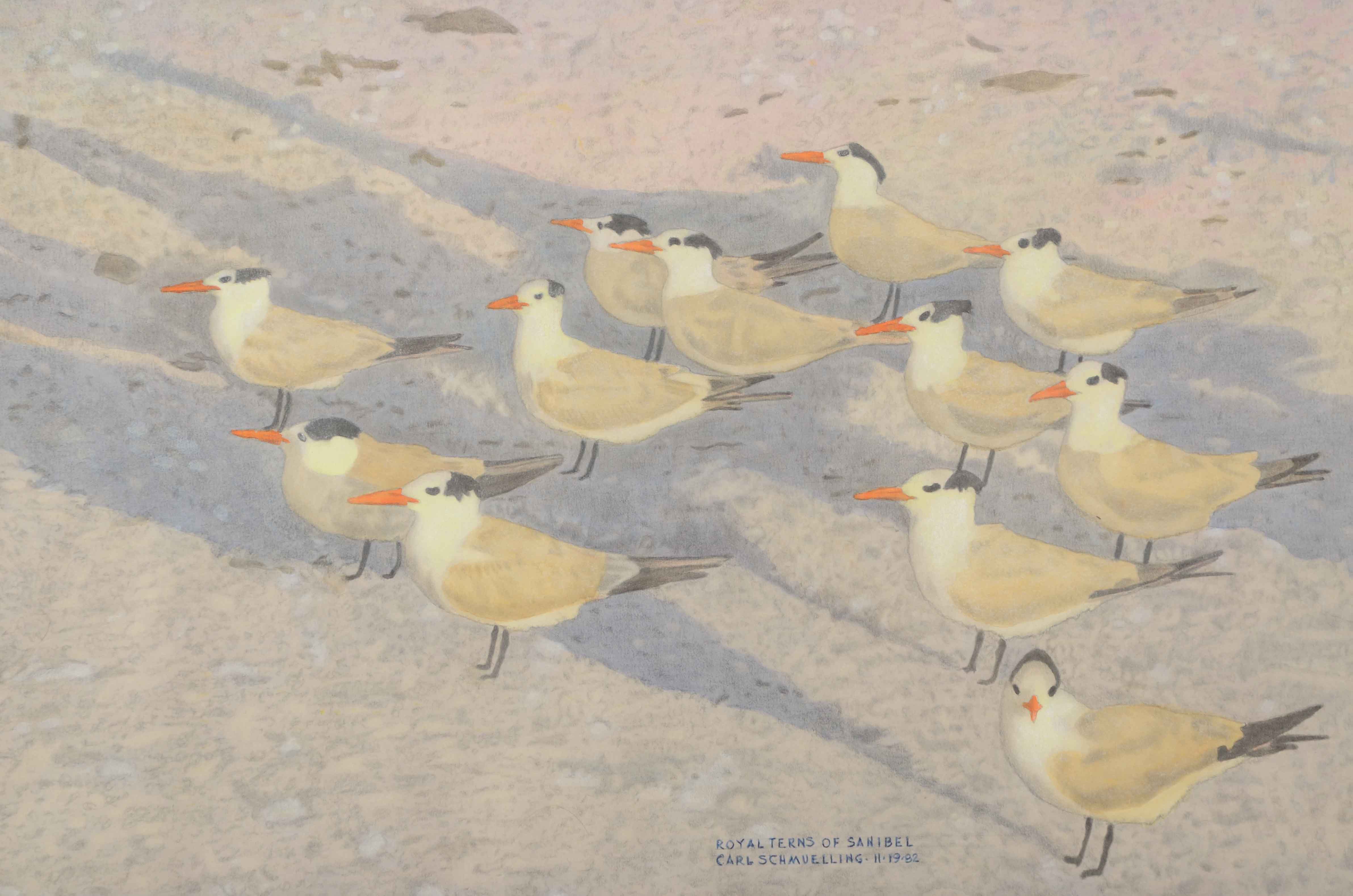 Carl Schmuelling Original Illustration "Royal Terns of Sanibel"