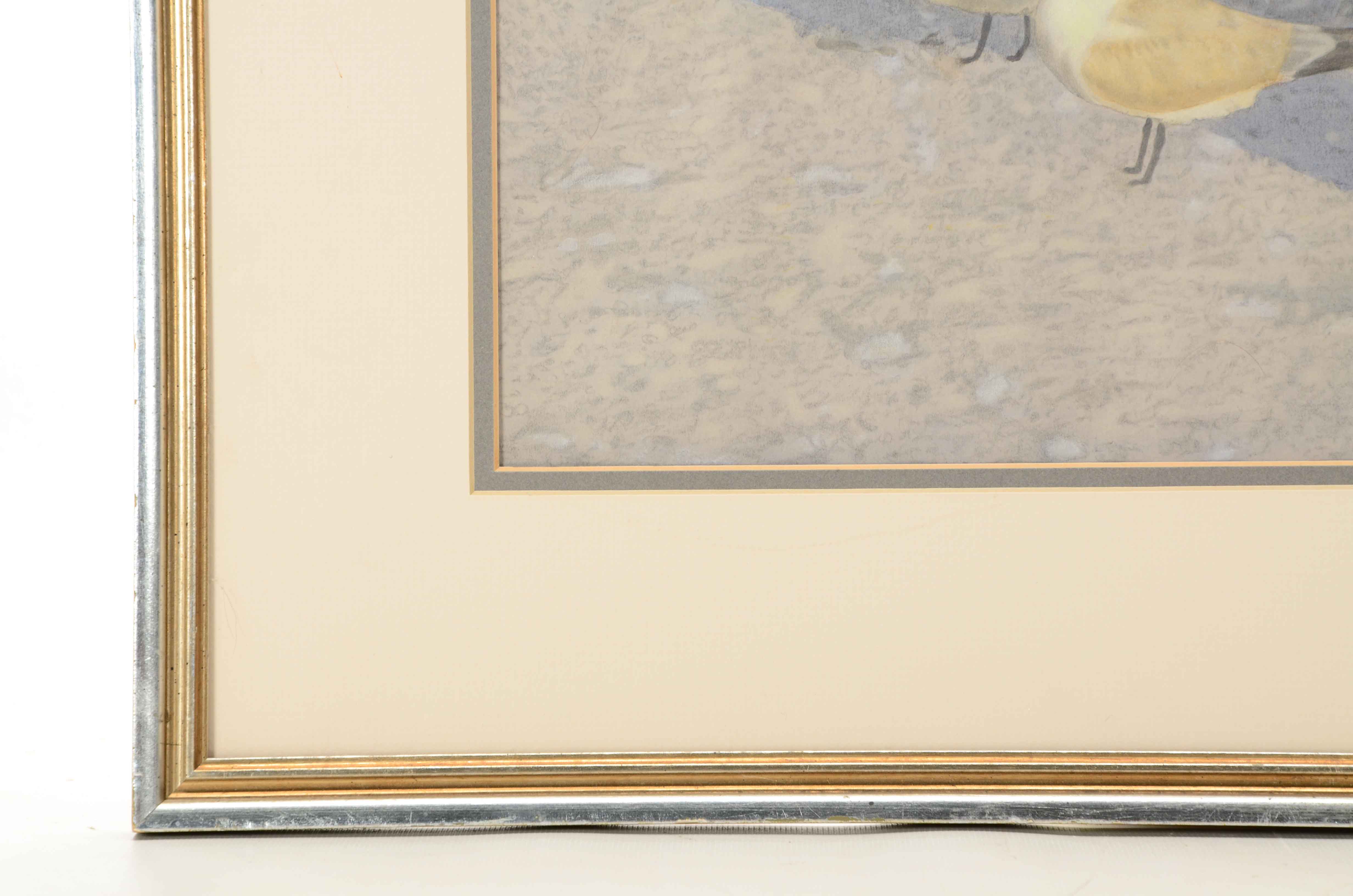 Carl Schmuelling Original Illustration "Royal Terns of Sanibel"