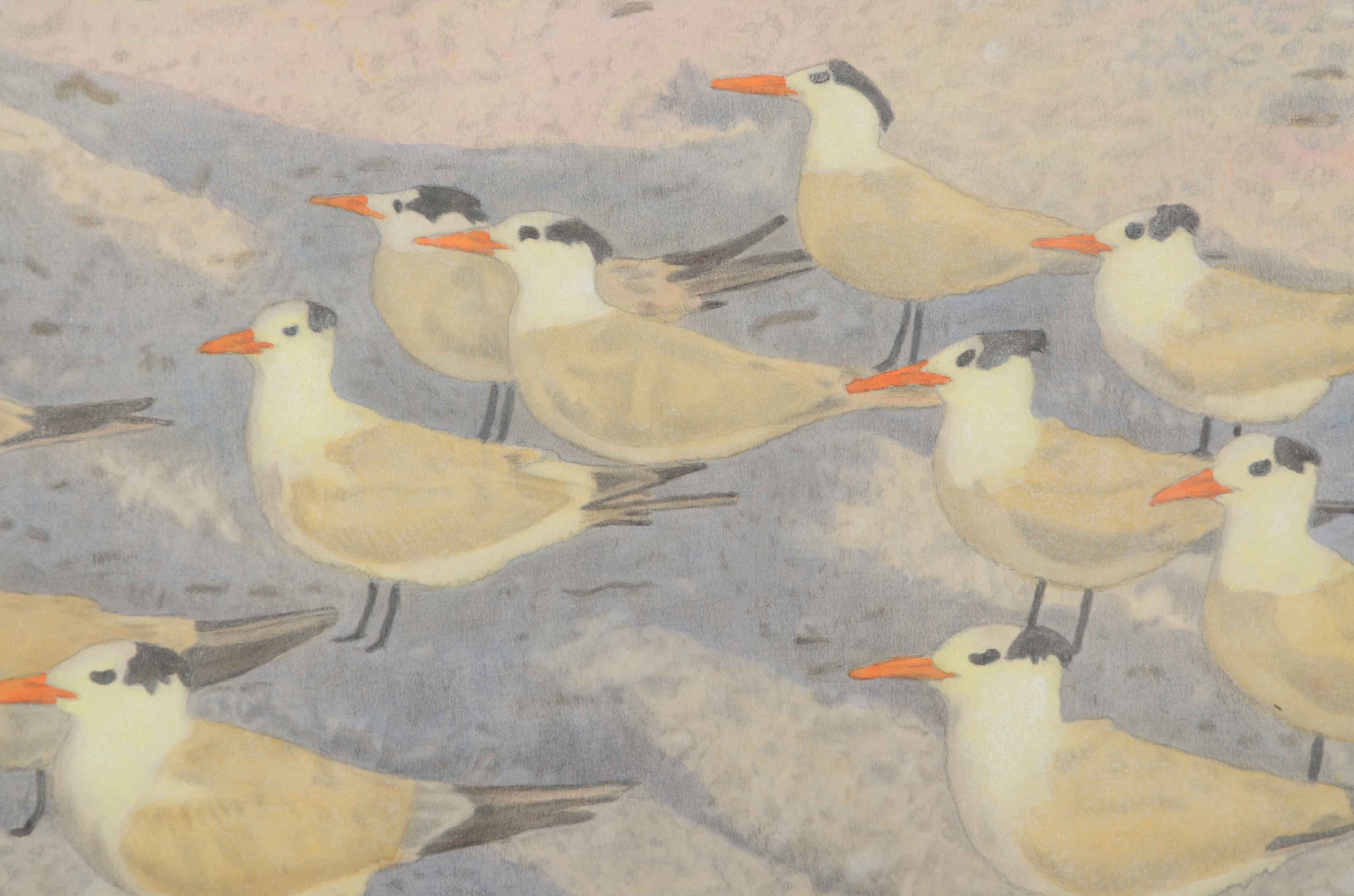 Carl Schmuelling Original Illustration "Royal Terns of Sanibel"