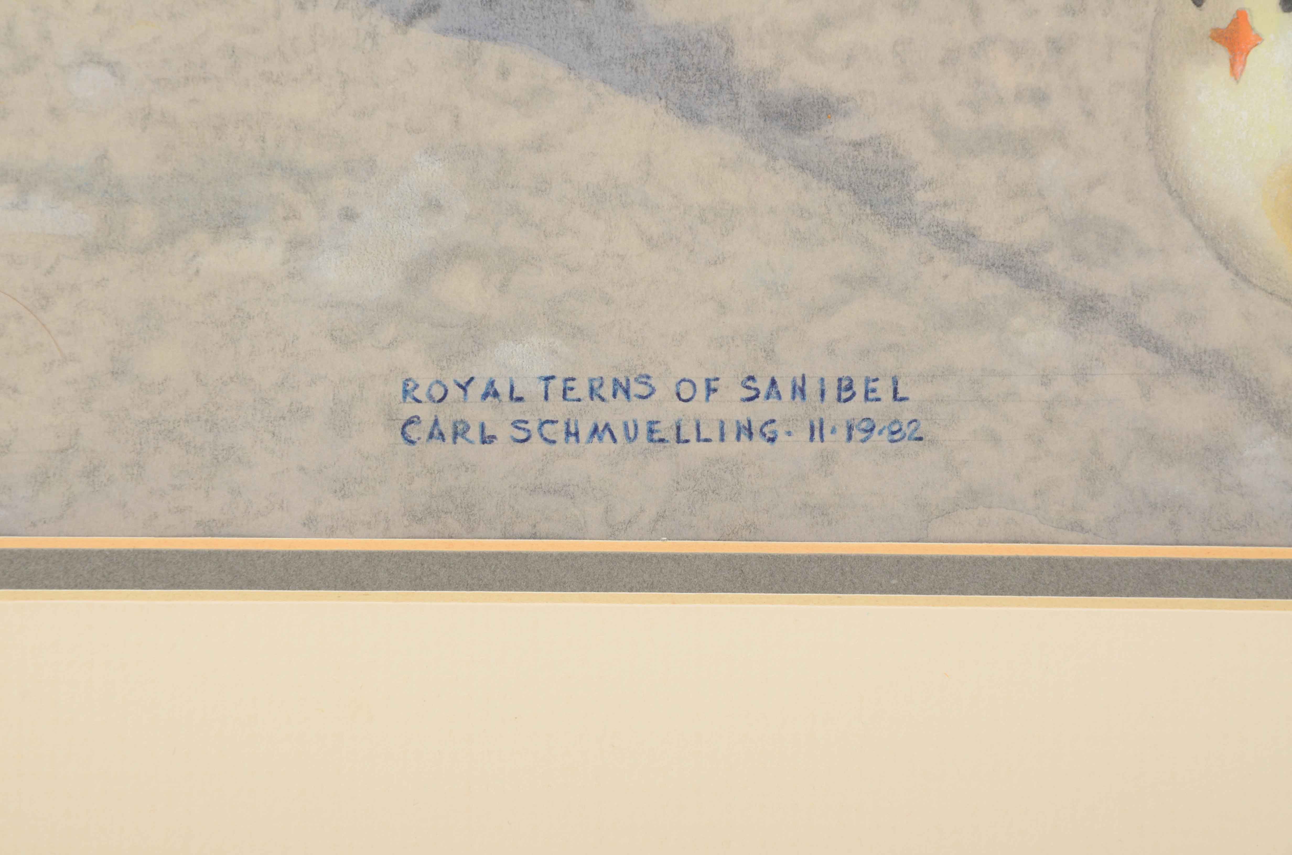 Carl Schmuelling Original Illustration "Royal Terns of Sanibel"