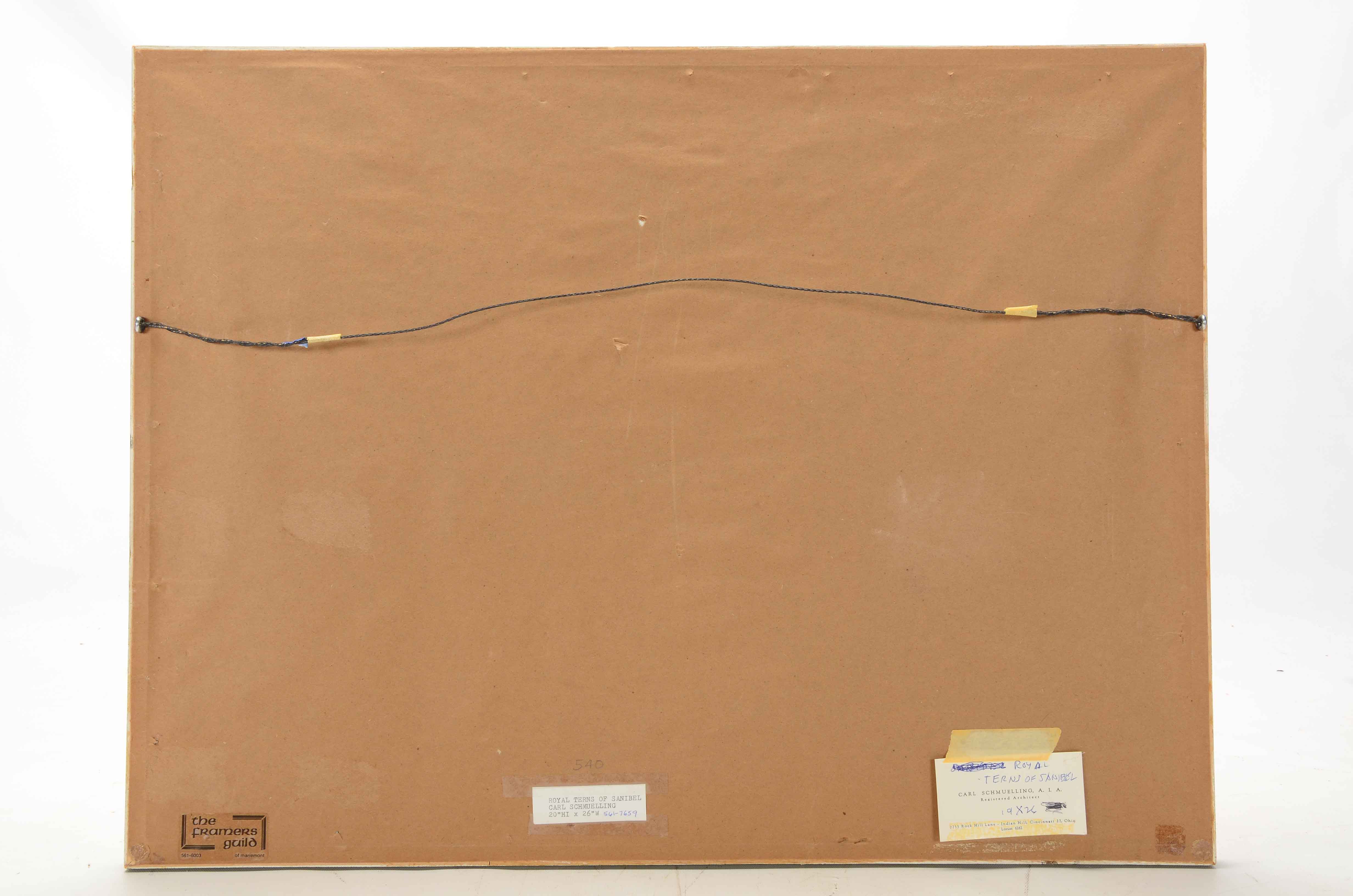 Carl Schmuelling Original Illustration "Royal Terns of Sanibel"