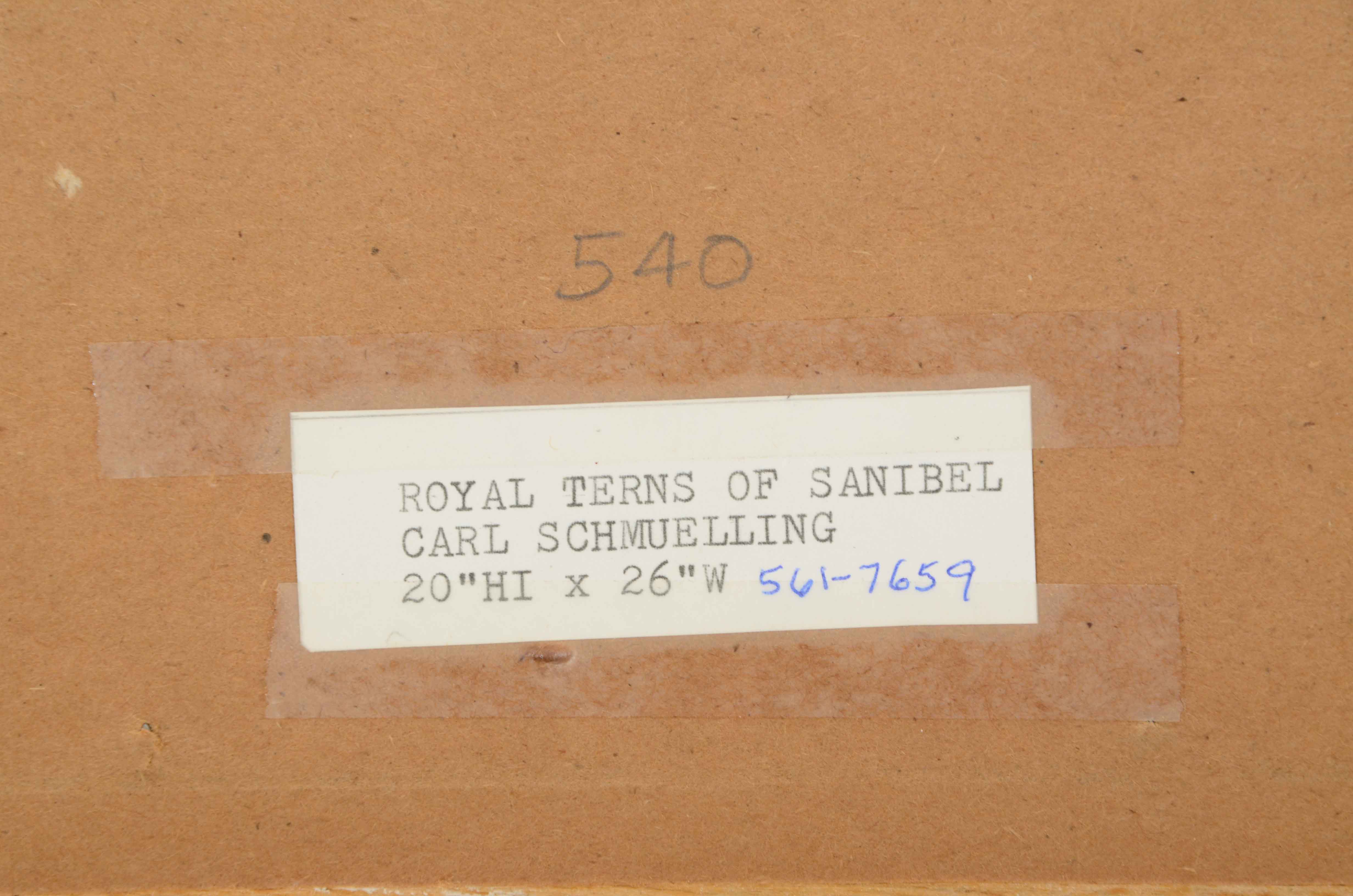 Carl Schmuelling Original Illustration "Royal Terns of Sanibel"