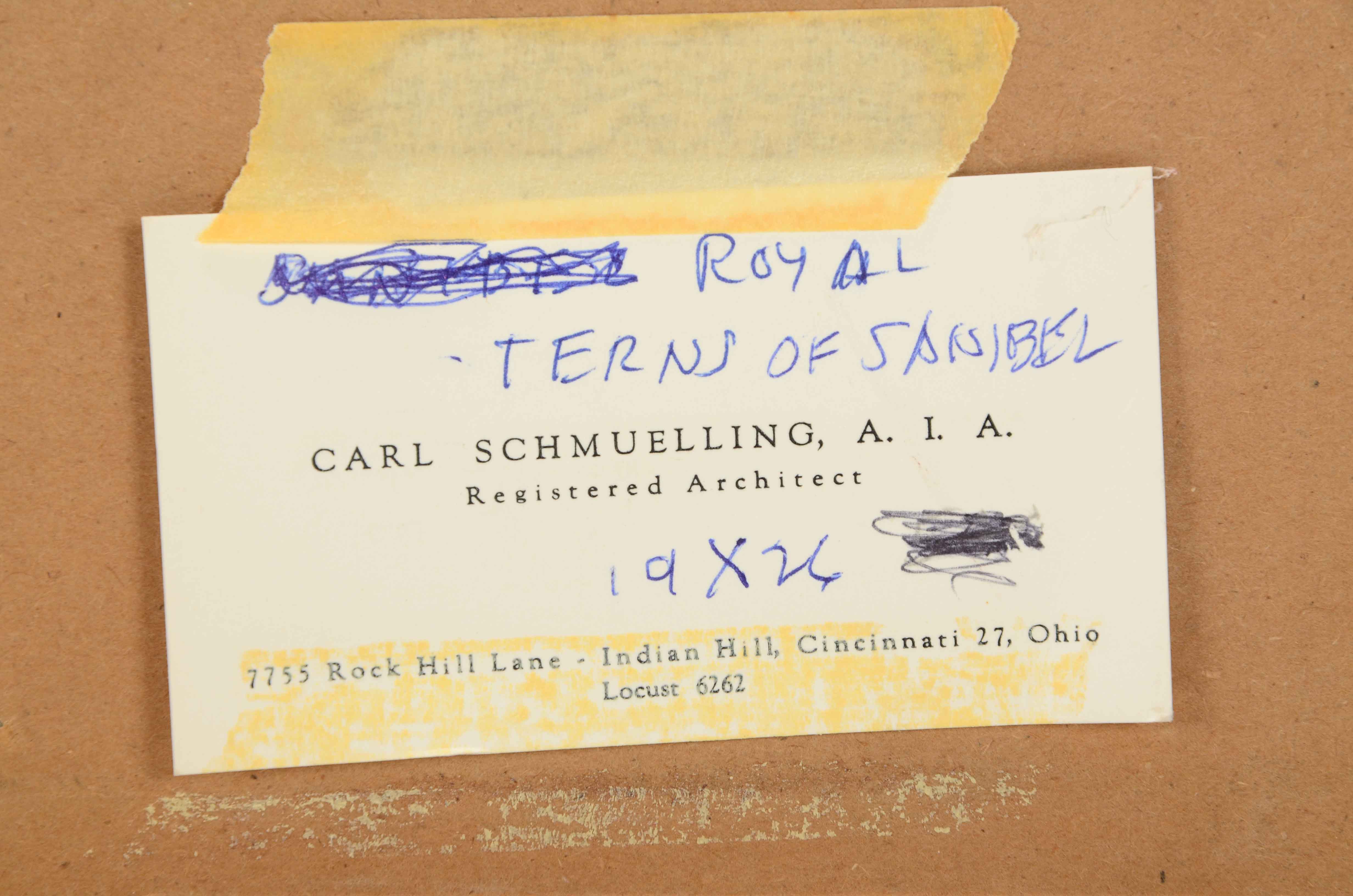 Carl Schmuelling Original Illustration "Royal Terns of Sanibel"