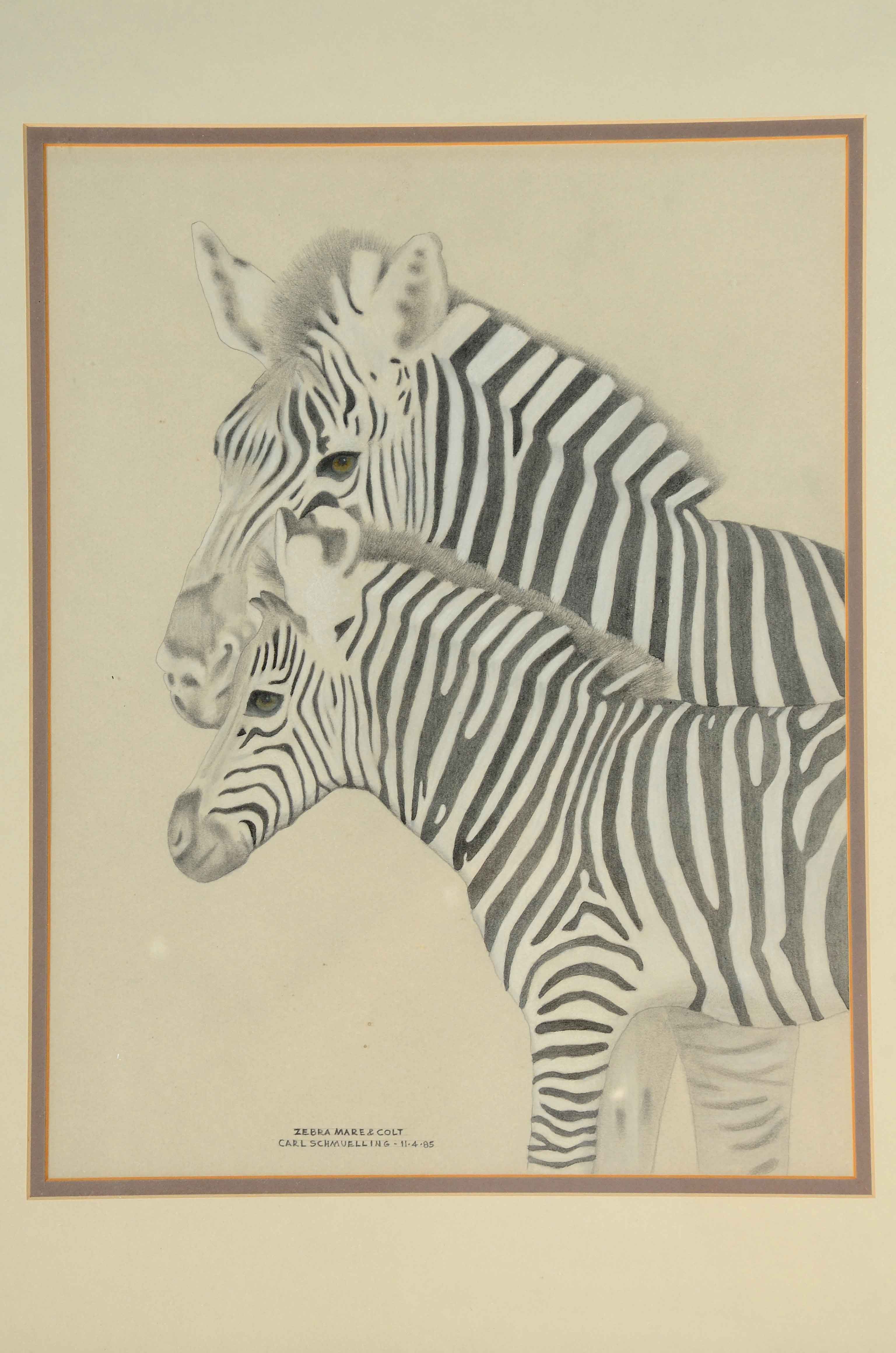 Carl Schmuelling Original Graphite and Pastel Drawing "Zebra Mare & Colt"