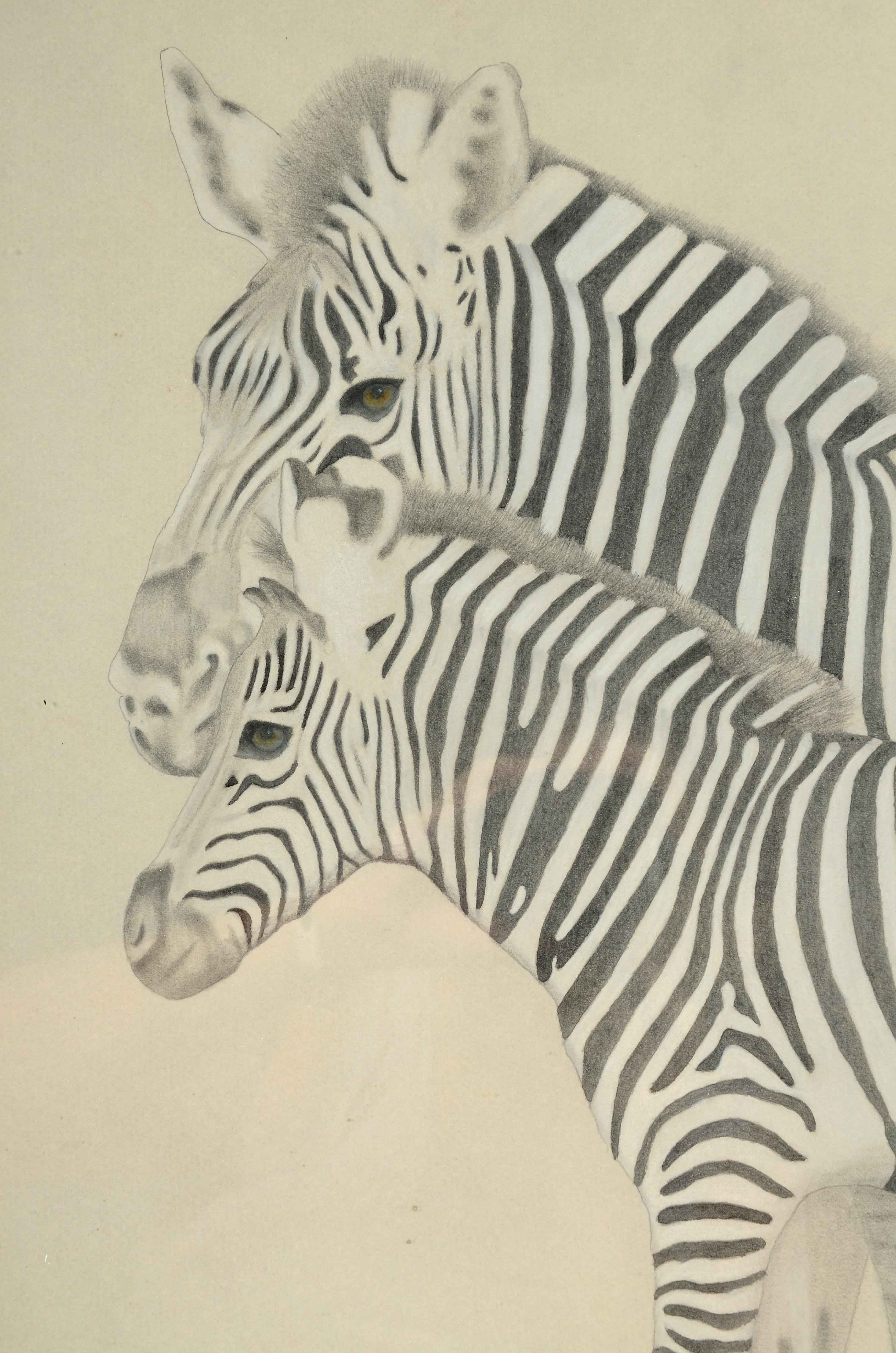 Carl Schmuelling Original Graphite and Pastel Drawing "Zebra Mare & Colt"