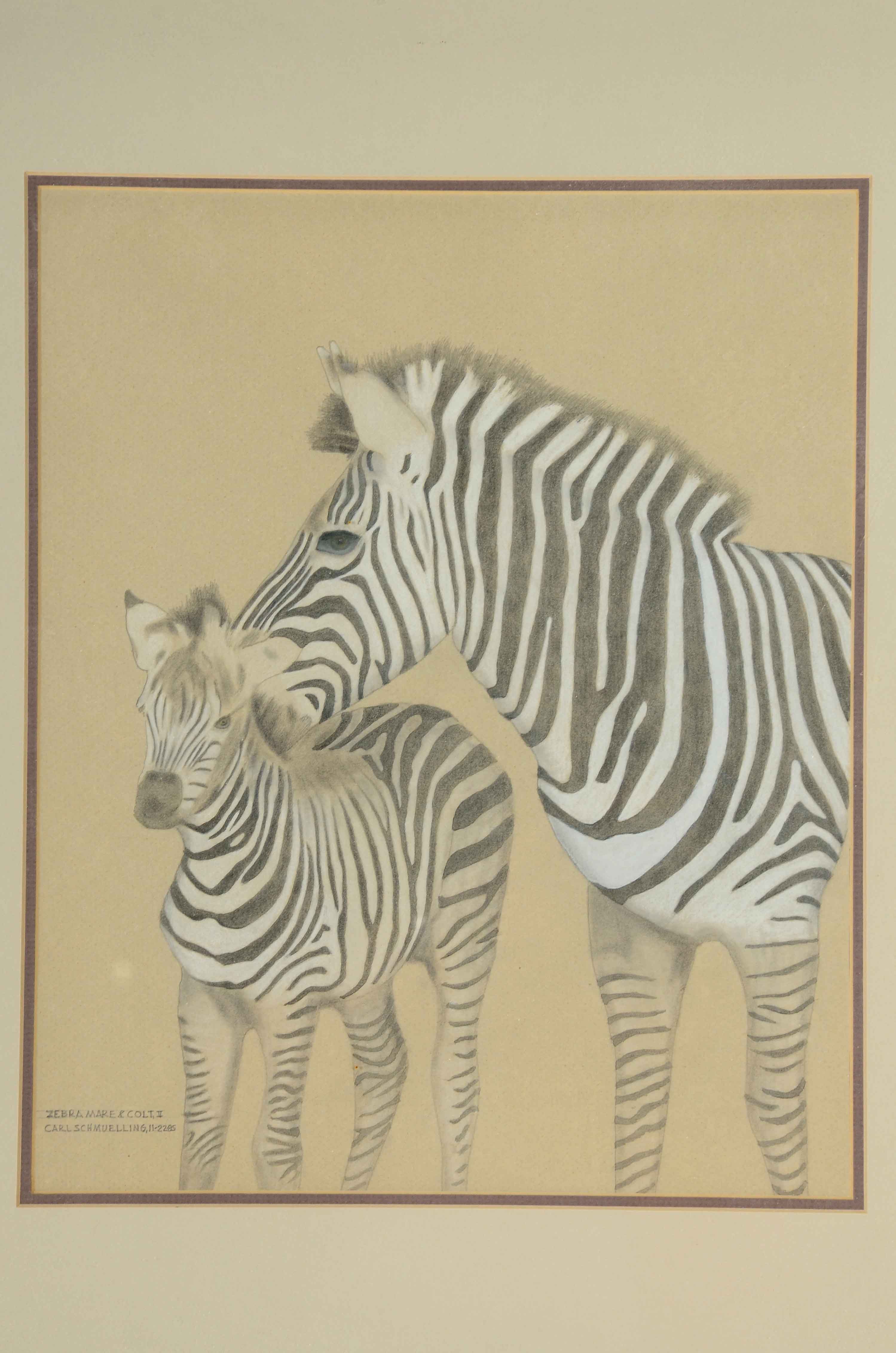 Carl Schmuelling Original Graphite and Pastel Drawing "Zebra Mare & Colt II"