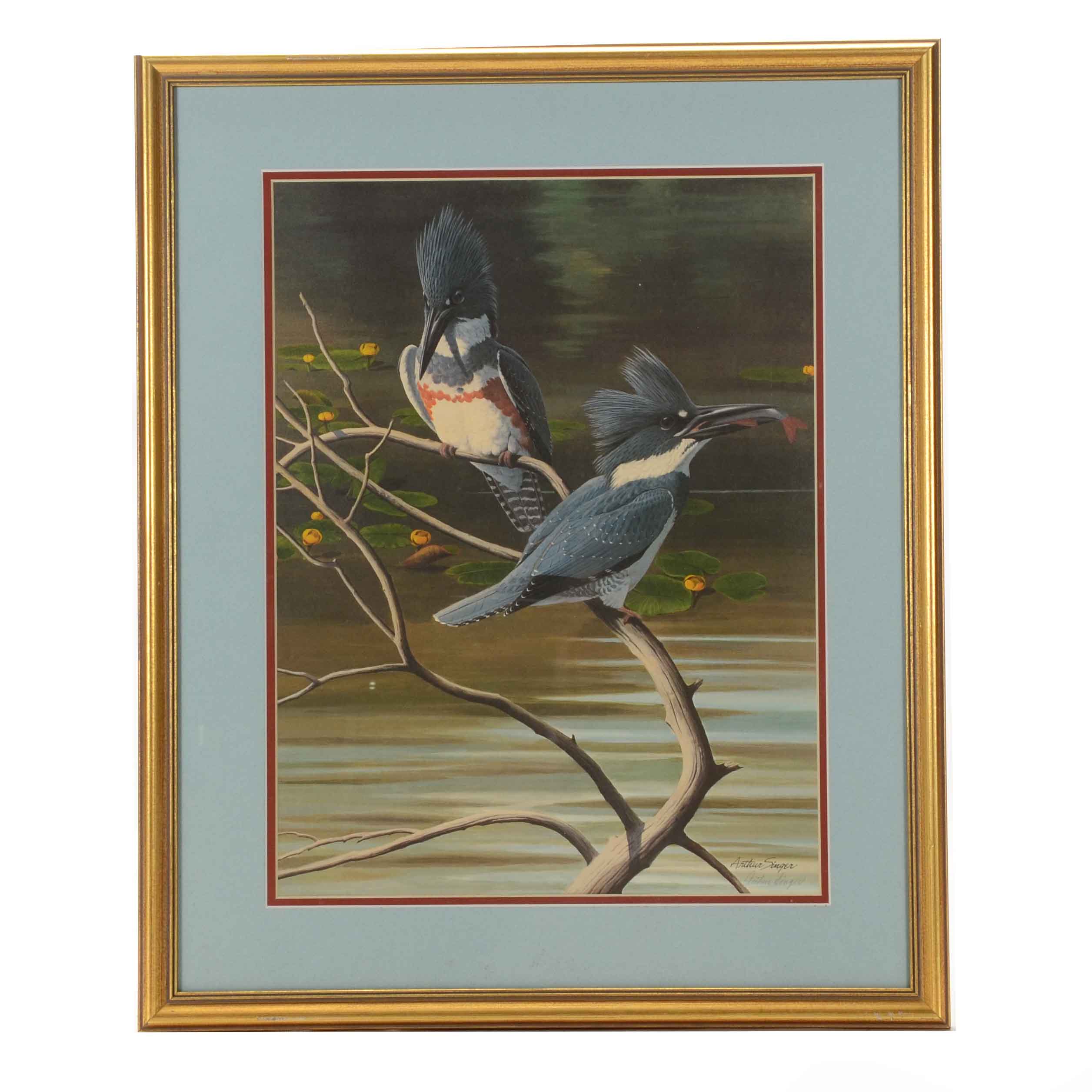Arthur Singer Offset Lithograph after "Belted Kingfisher"