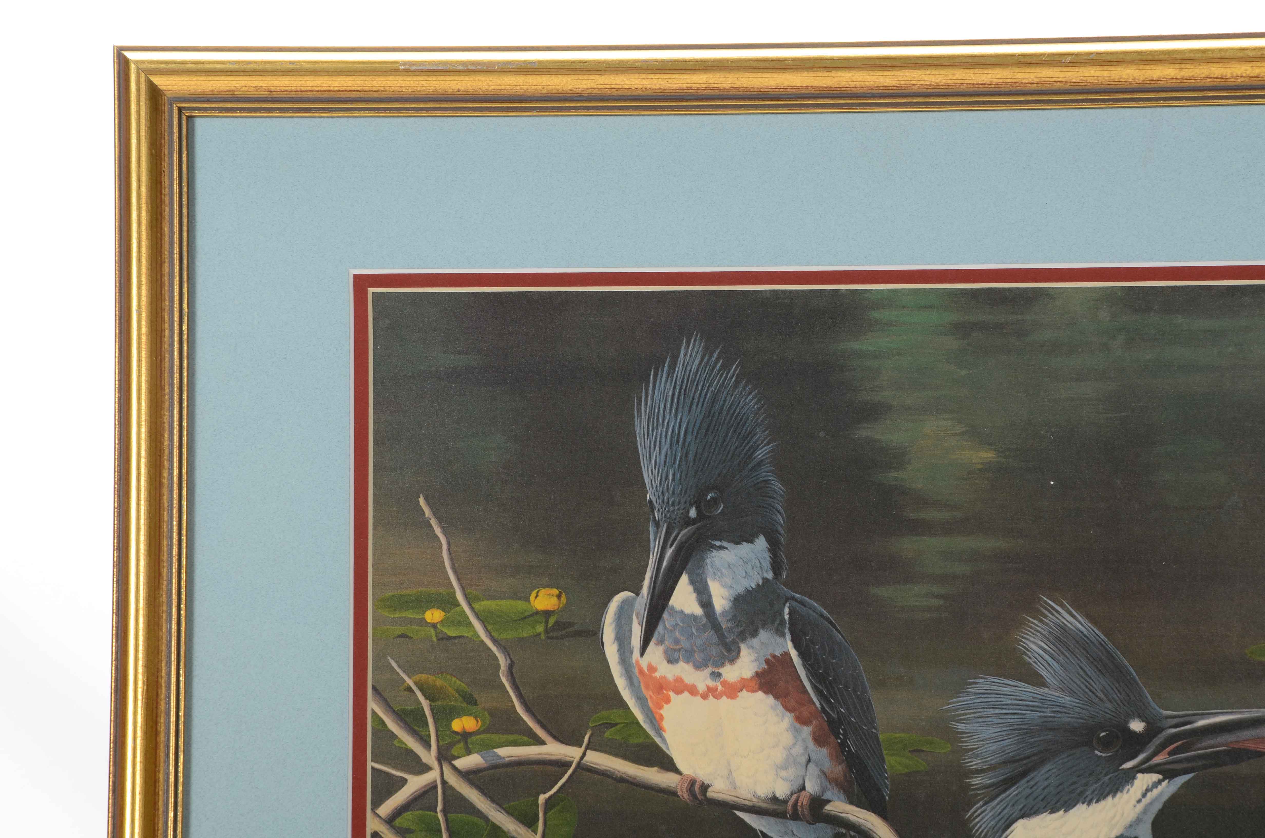 Arthur Singer Offset Lithograph after "Belted Kingfisher"