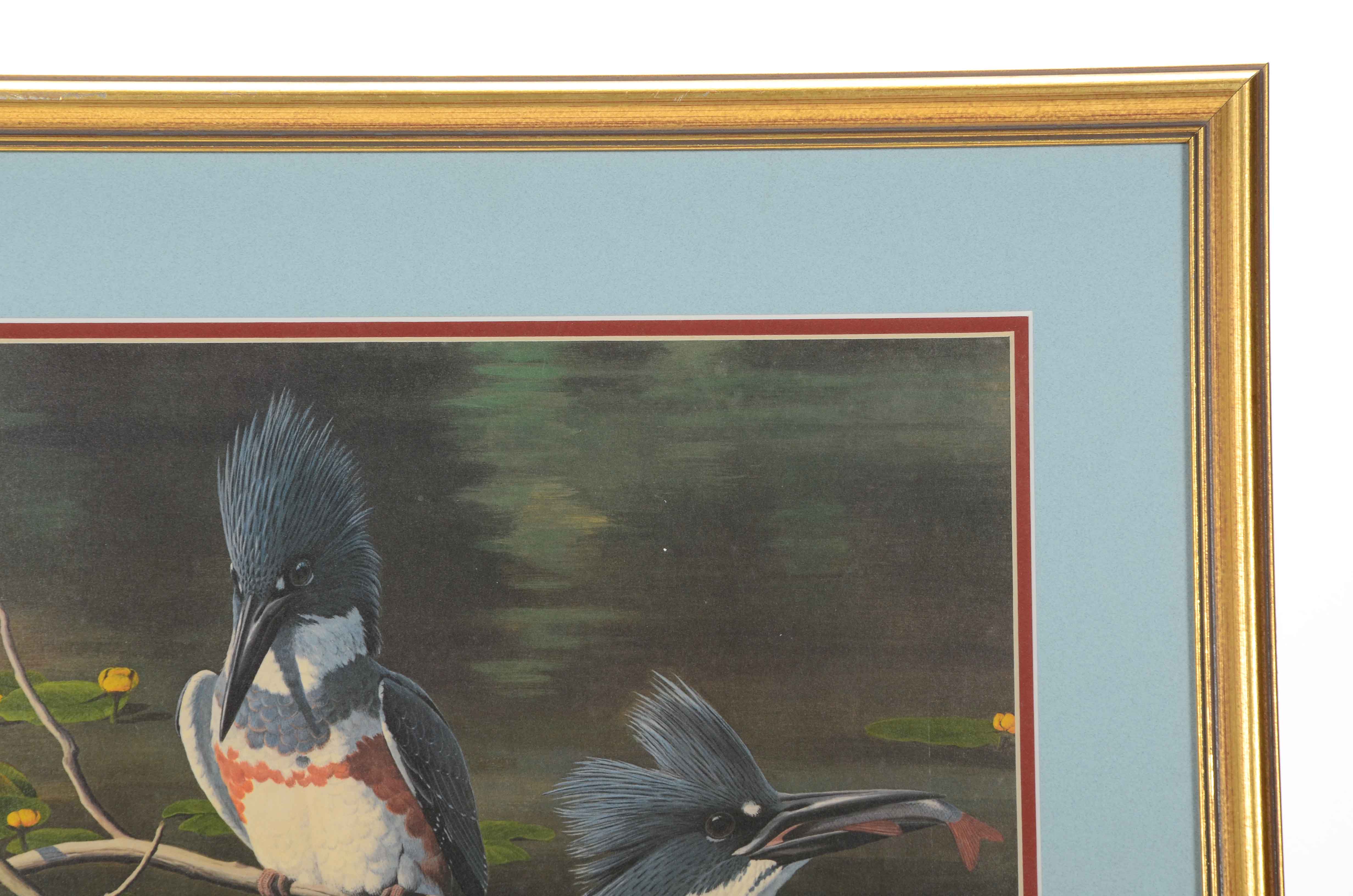 Arthur Singer Offset Lithograph after "Belted Kingfisher"