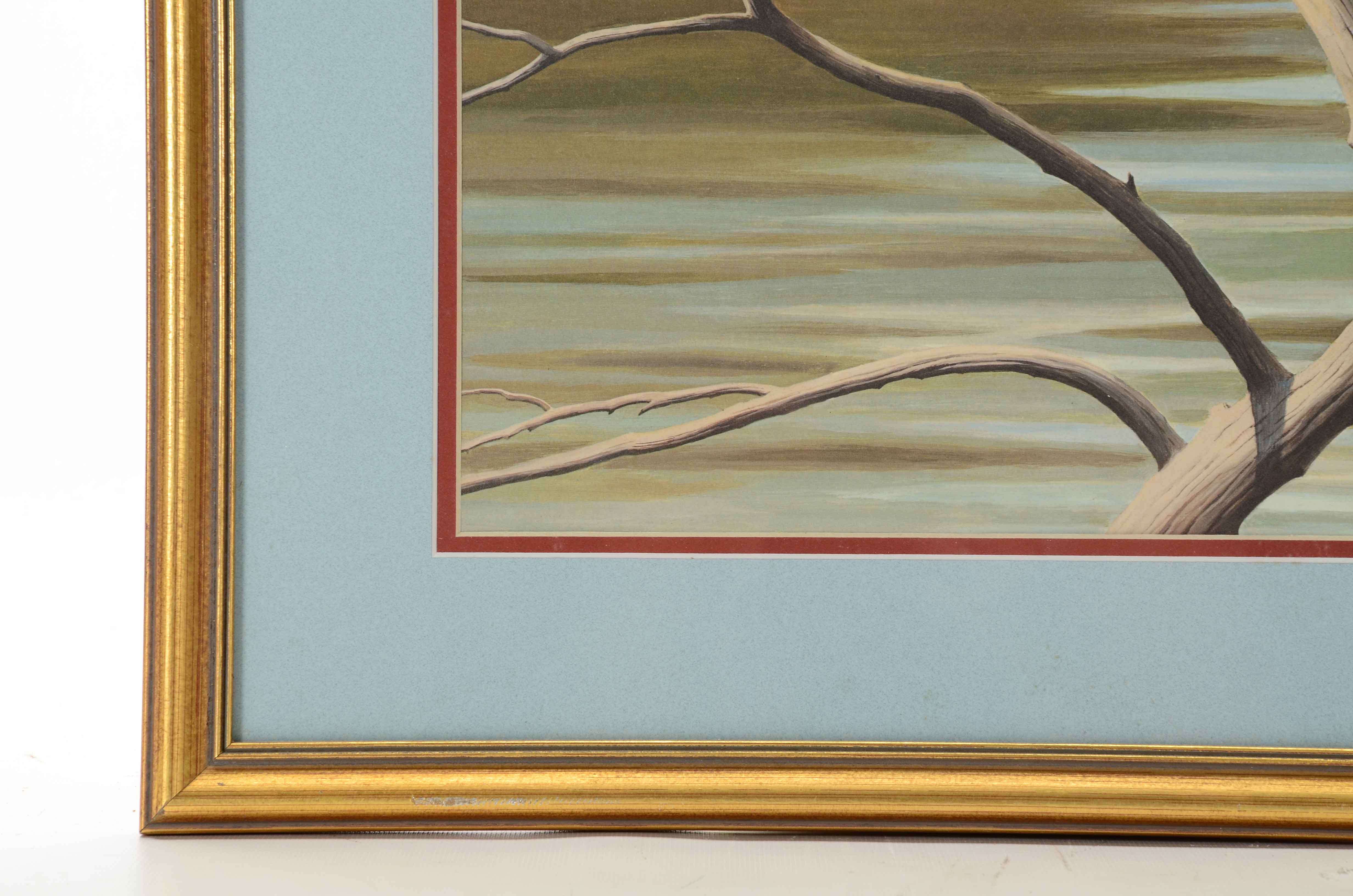 Arthur Singer Offset Lithograph after "Belted Kingfisher"