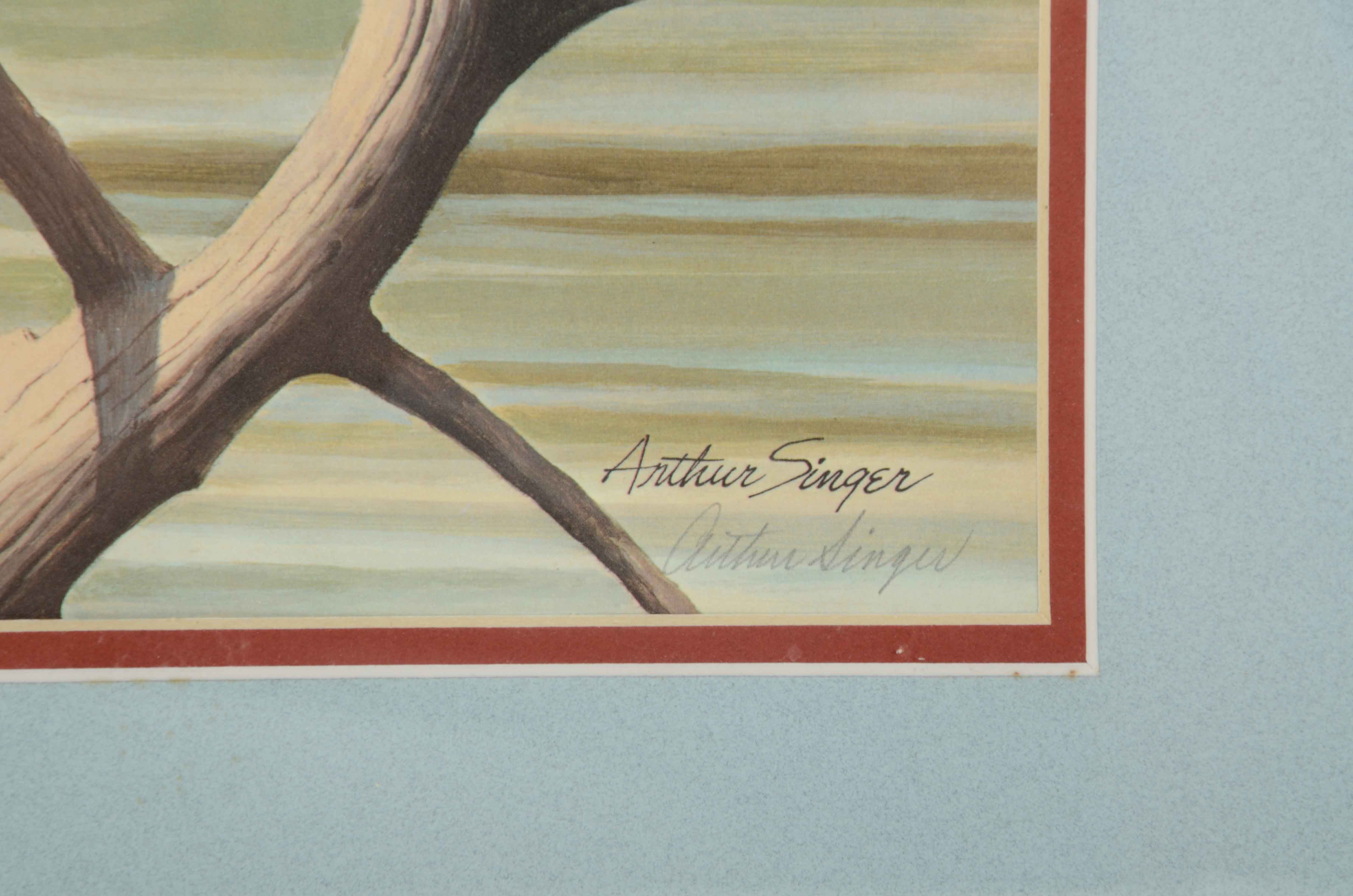 Arthur Singer Offset Lithograph after "Belted Kingfisher"