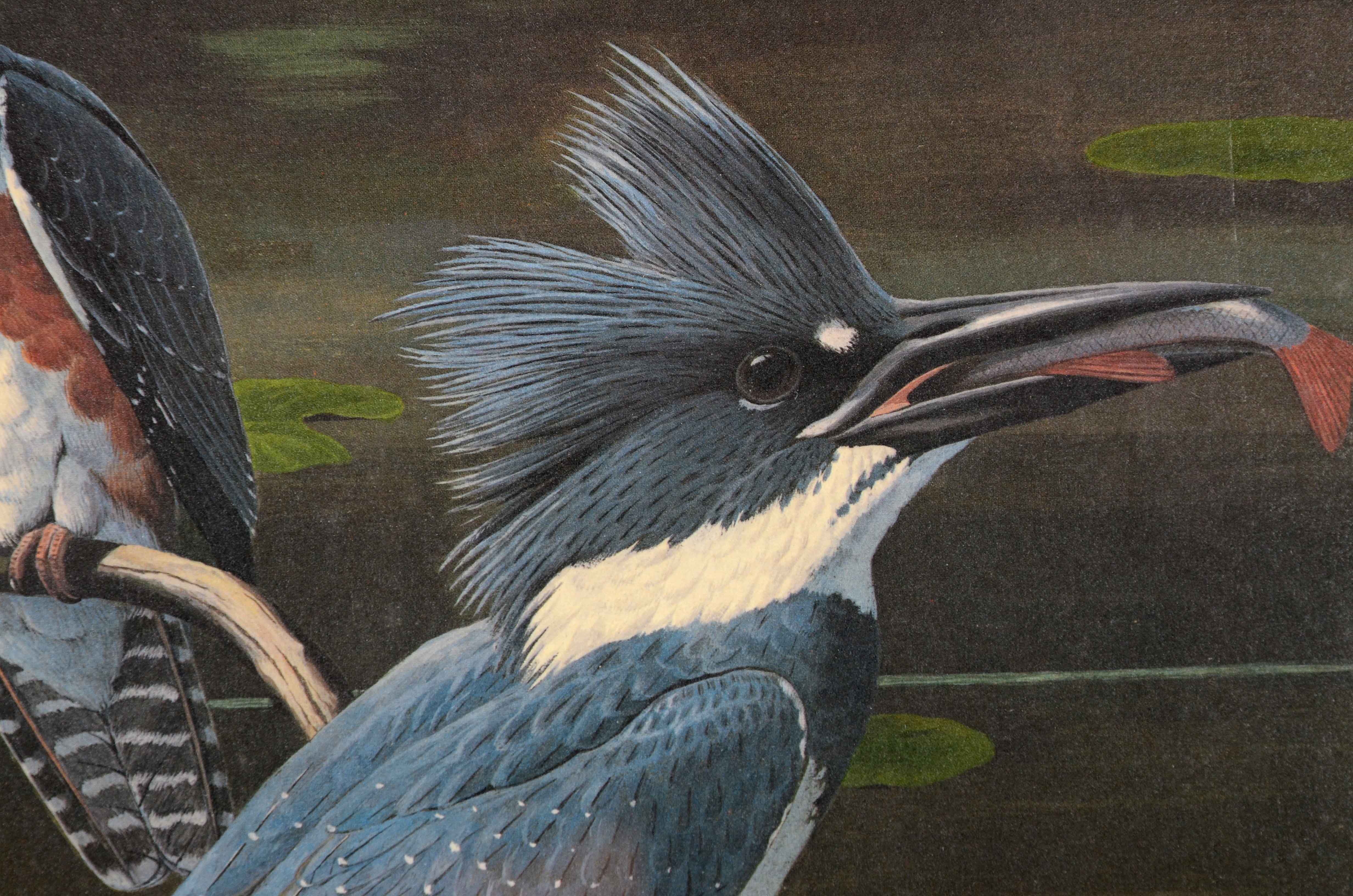 Arthur Singer Offset Lithograph after "Belted Kingfisher"