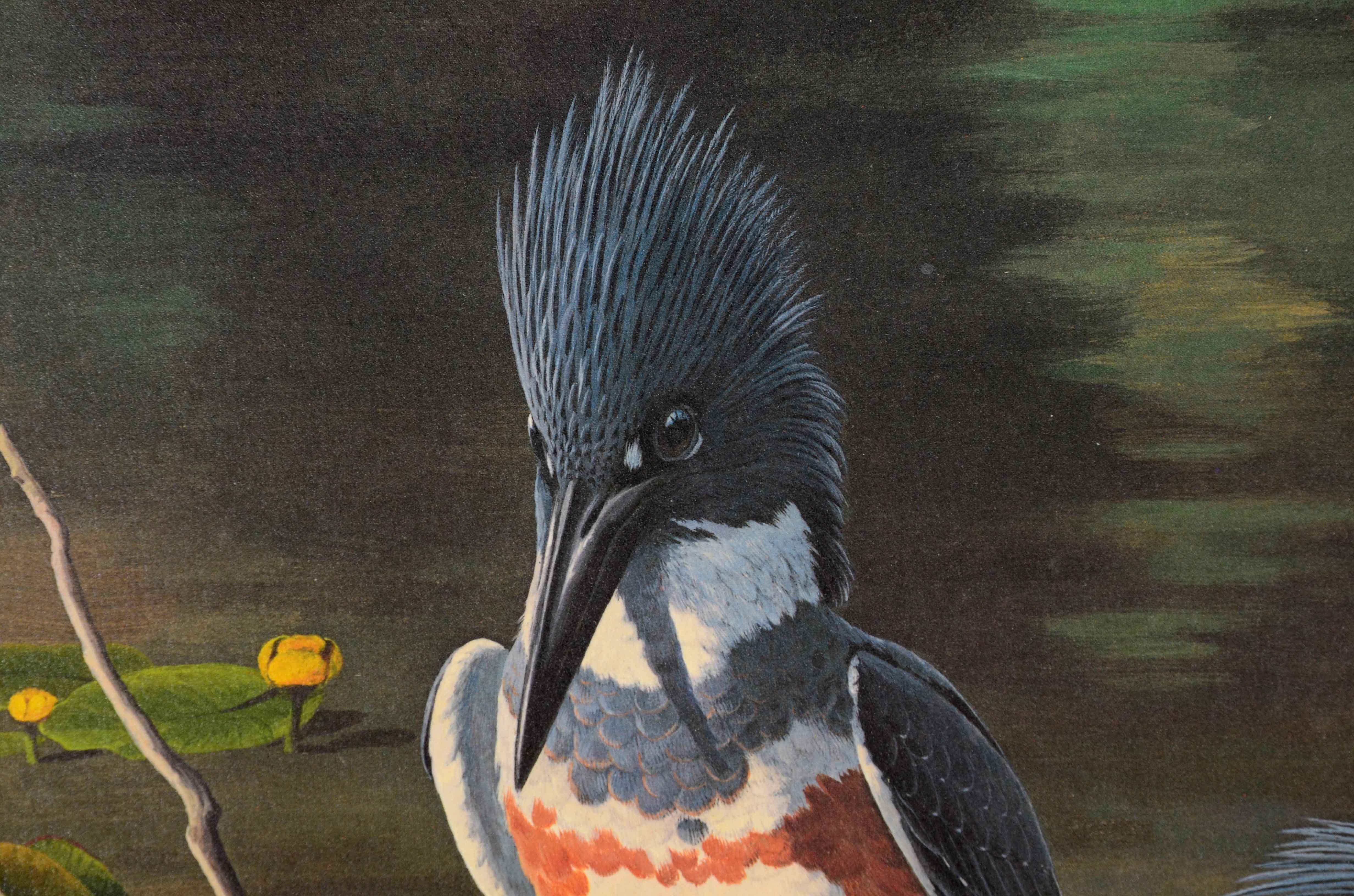 Arthur Singer Offset Lithograph after "Belted Kingfisher"