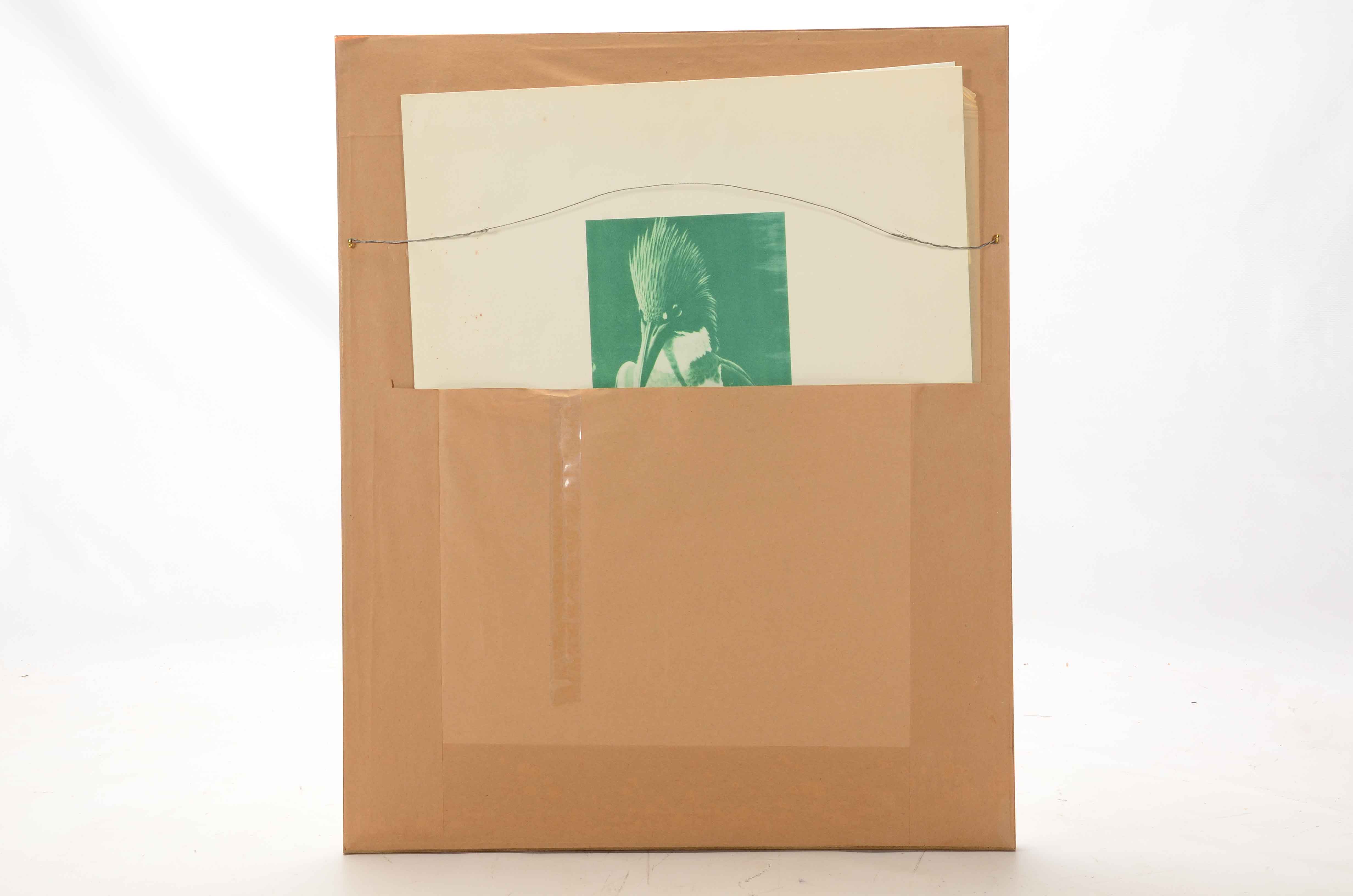 Arthur Singer Offset Lithograph after "Belted Kingfisher"