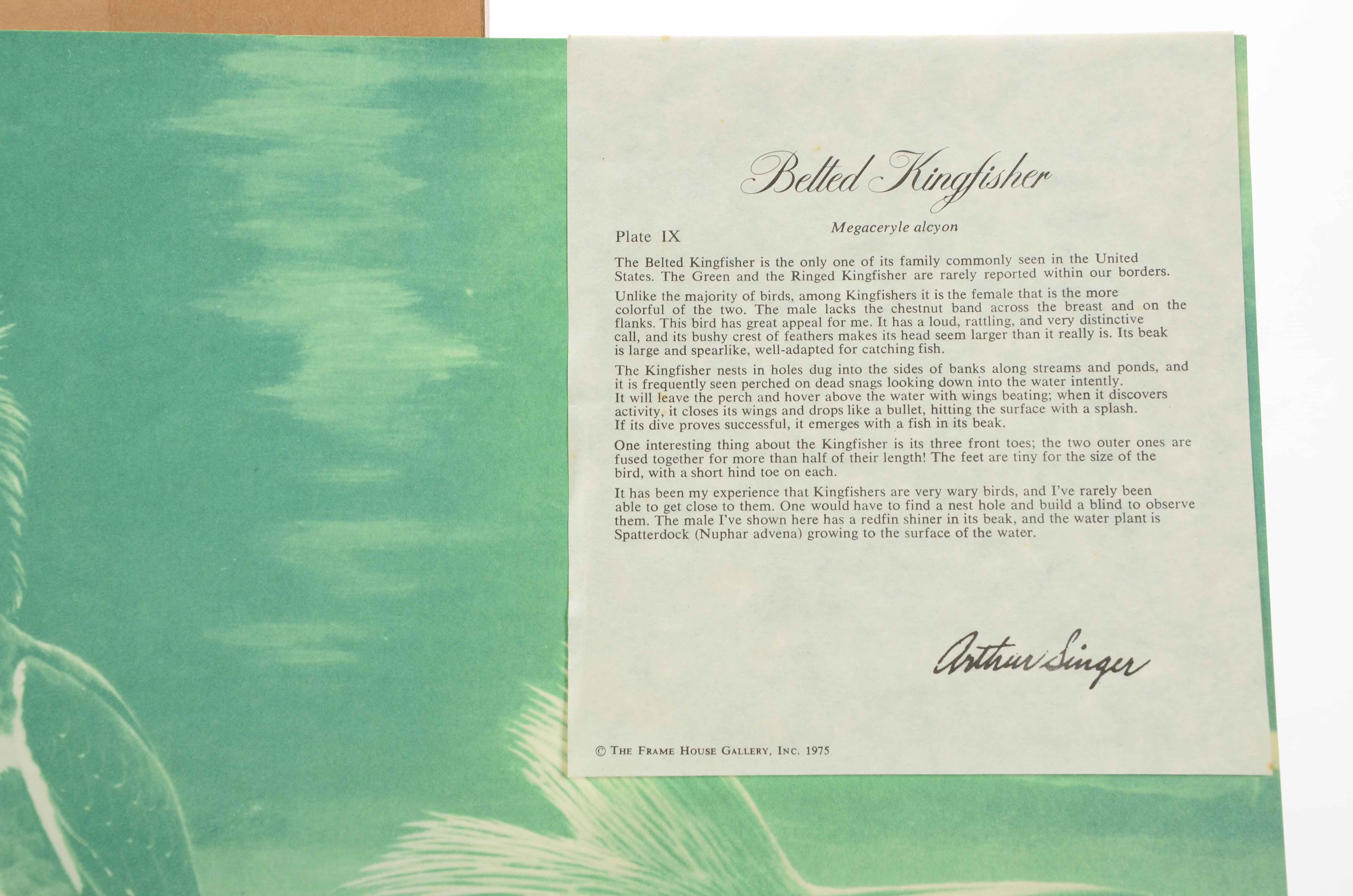 Arthur Singer Offset Lithograph after "Belted Kingfisher"