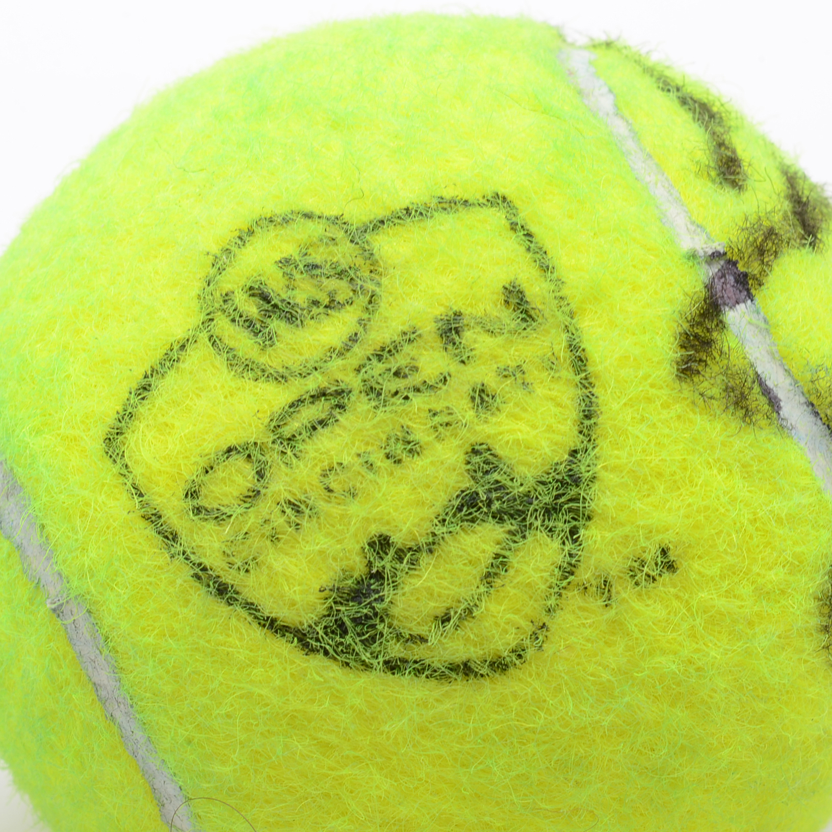 Roger Federer Signed Tennis Ball COA
