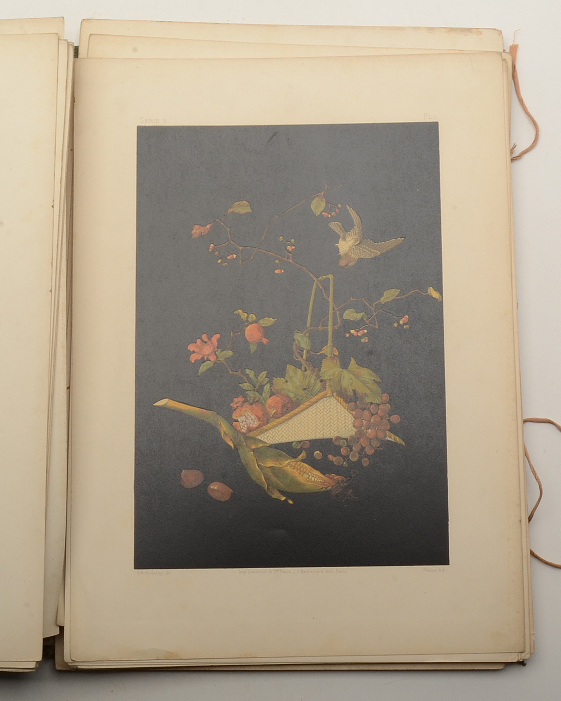 "Gems of Japanese Art and Handicraft"