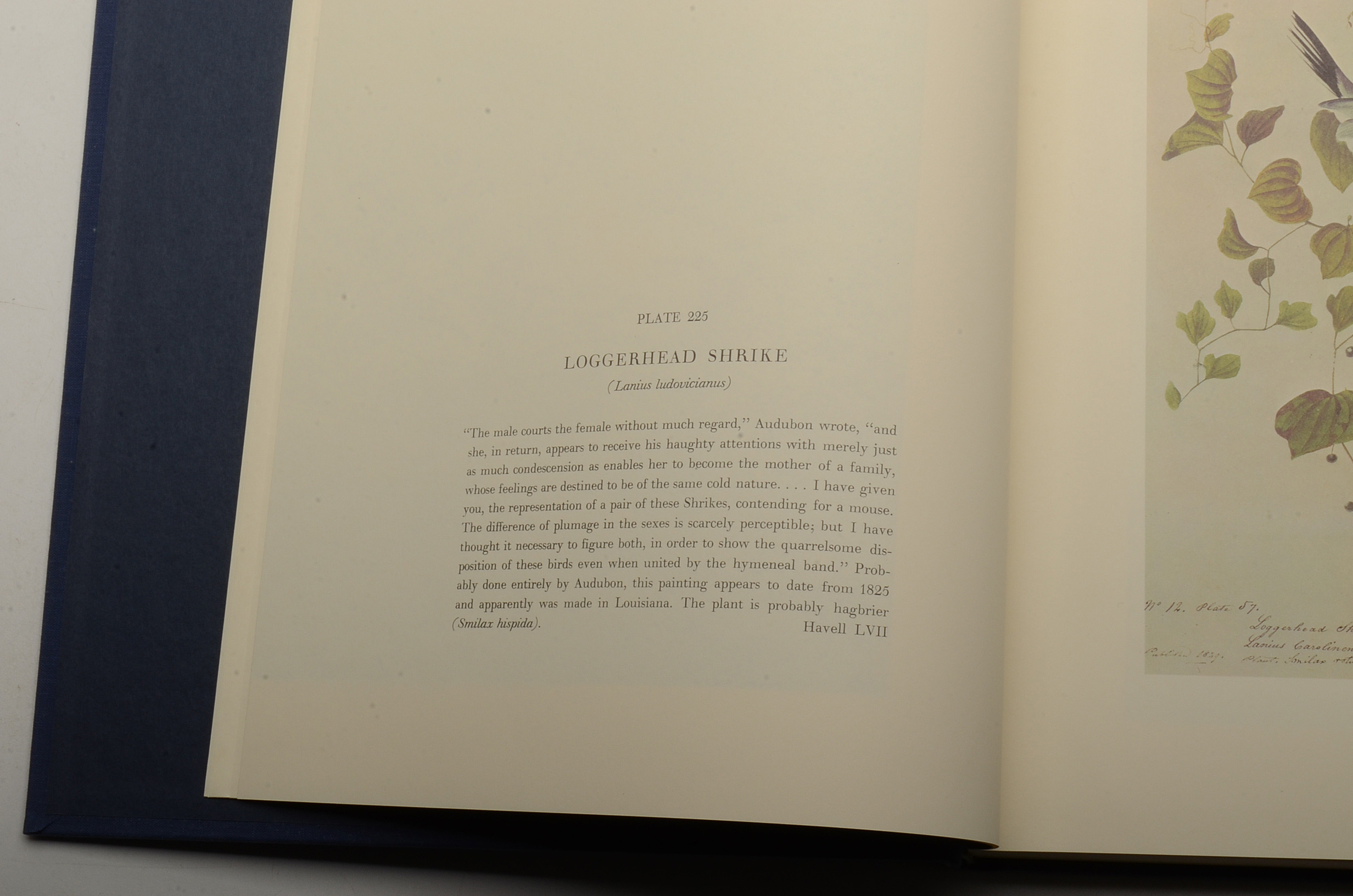 Two-Volume "Original Watercolor Paintings of John James Audubon"