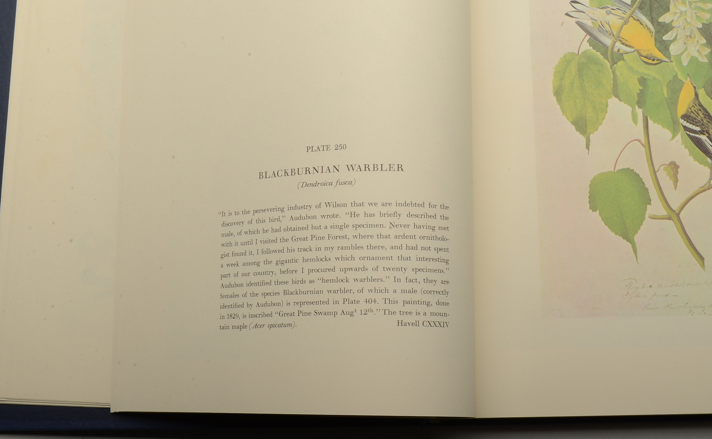 Two-Volume "Original Watercolor Paintings of John James Audubon"