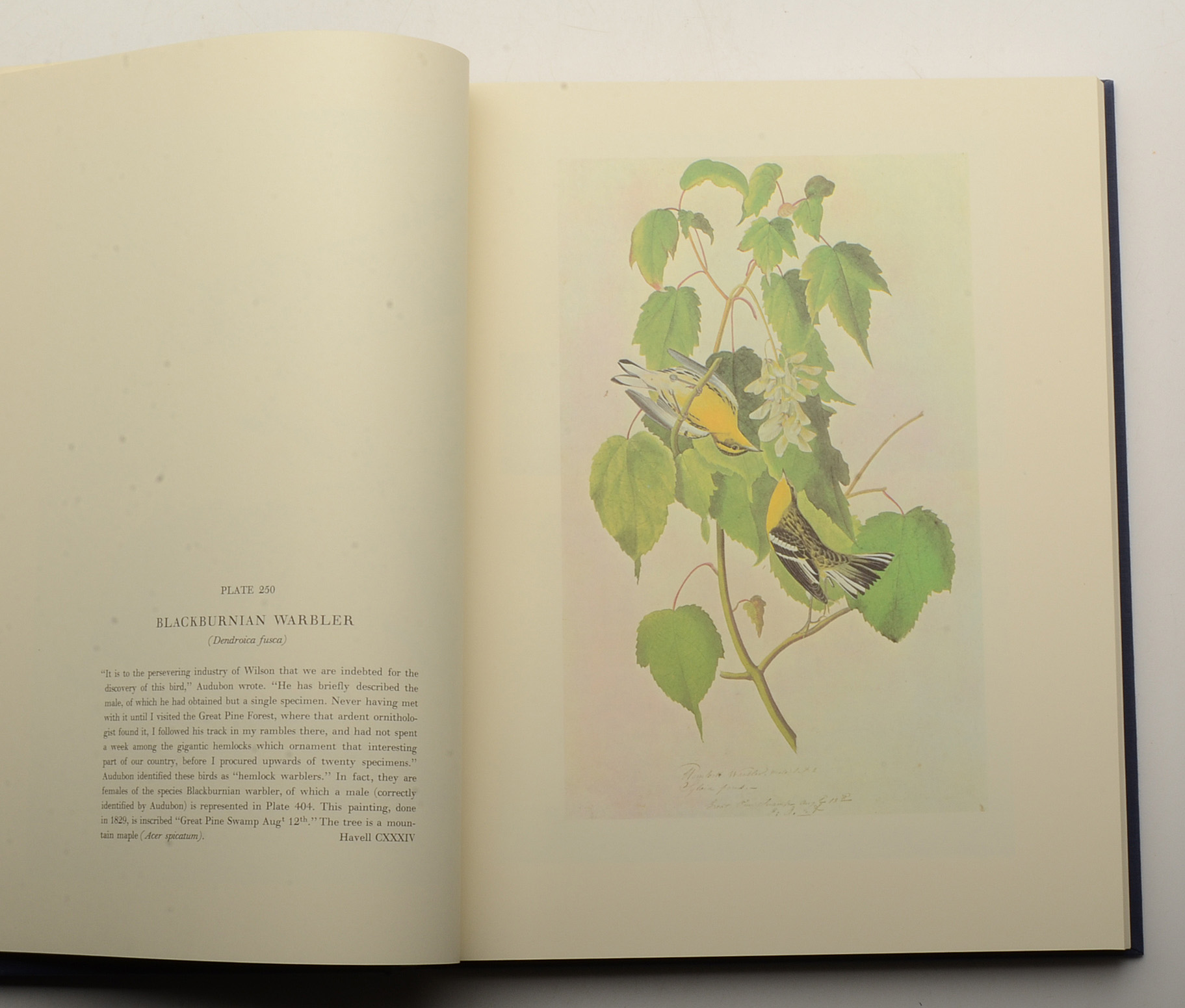 Two-Volume "Original Watercolor Paintings of John James Audubon"