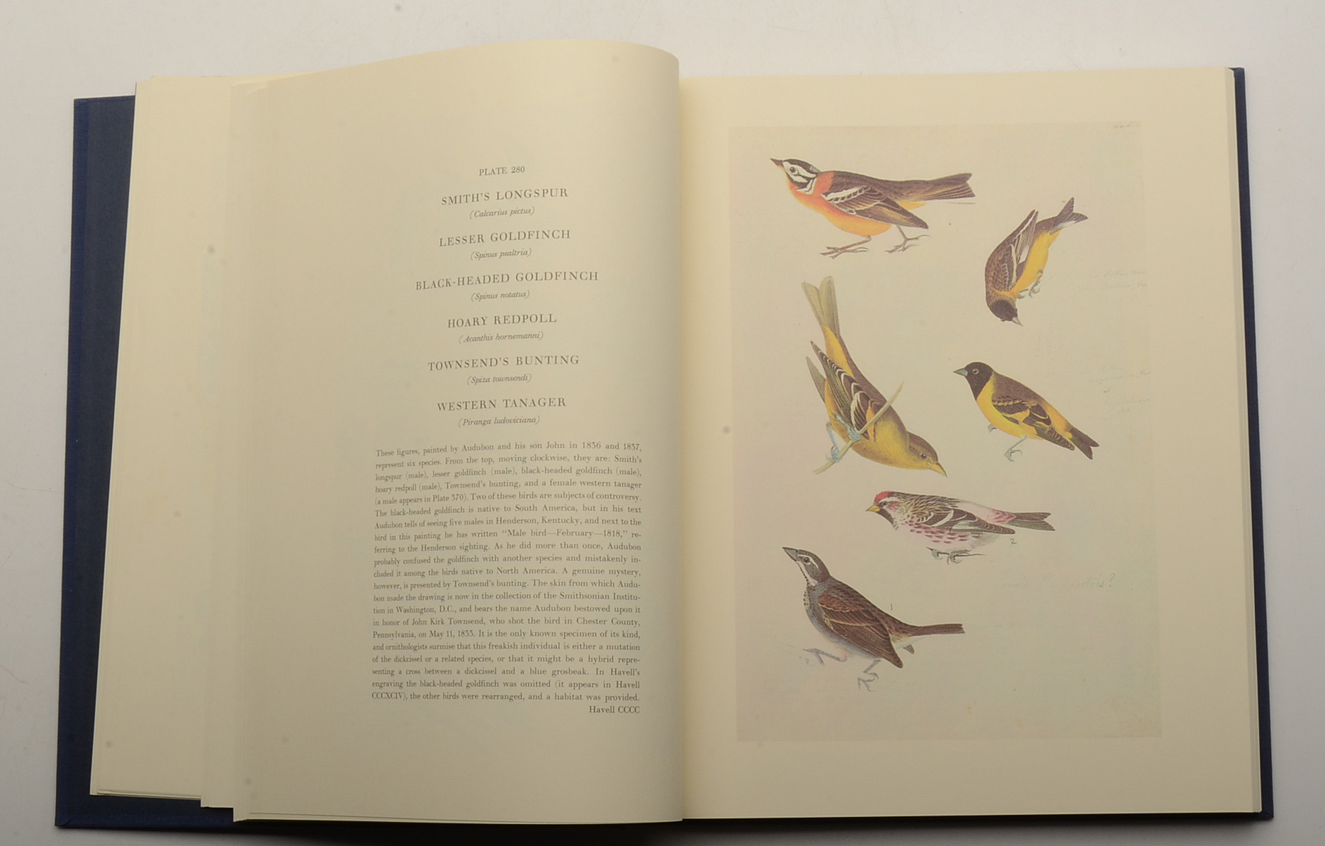 Two-Volume "Original Watercolor Paintings of John James Audubon"