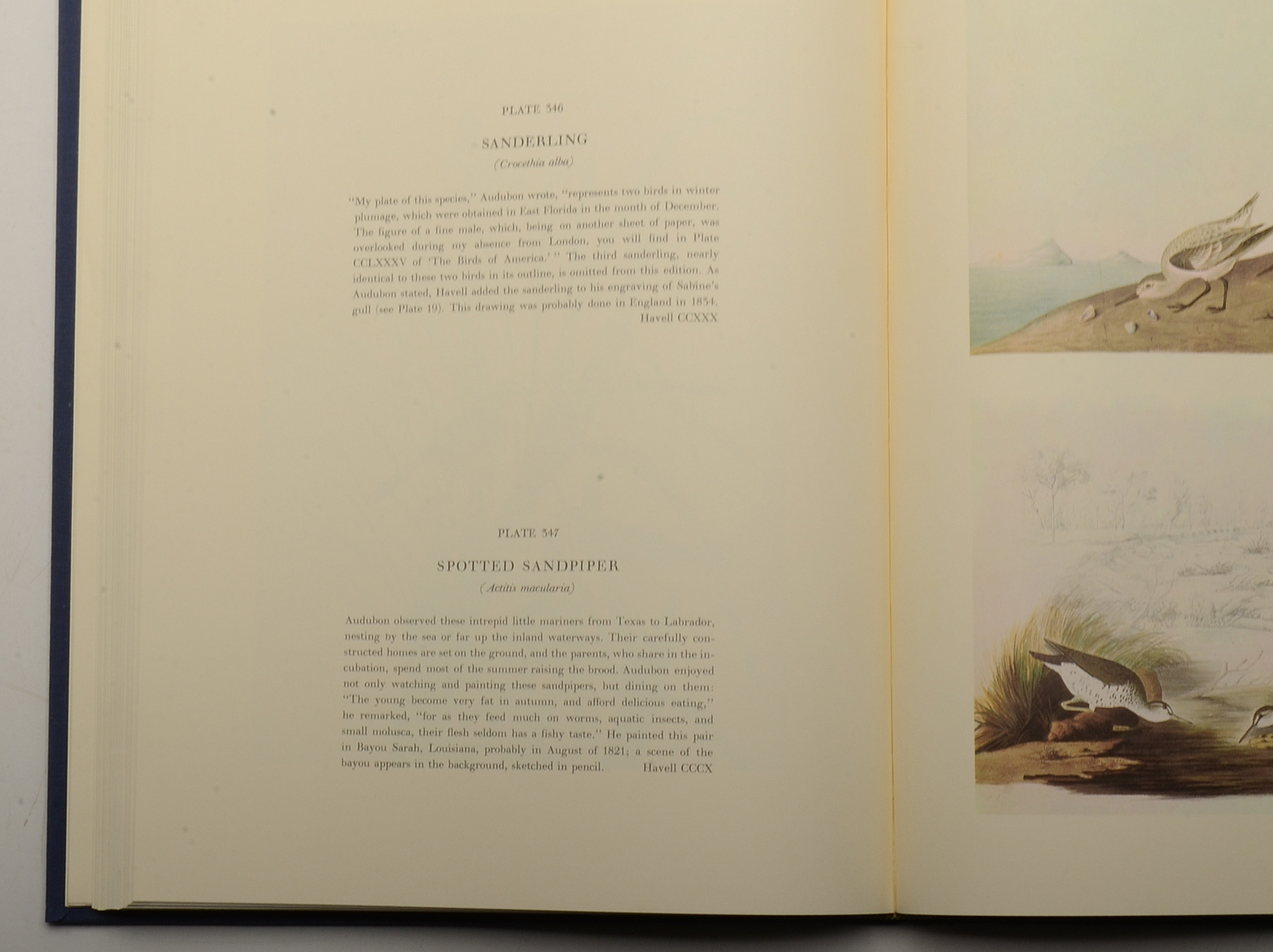 Two-Volume "Original Watercolor Paintings of John James Audubon"