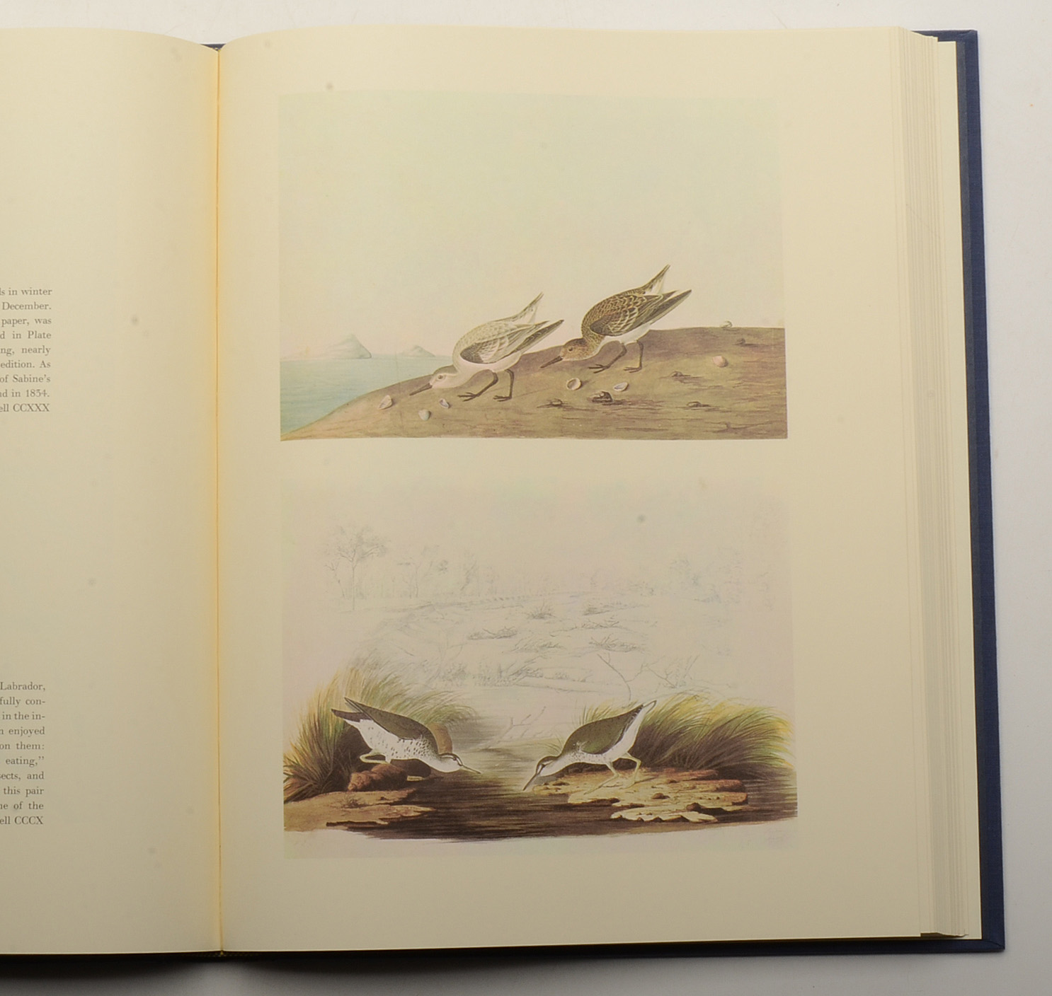 Two-Volume "Original Watercolor Paintings of John James Audubon"