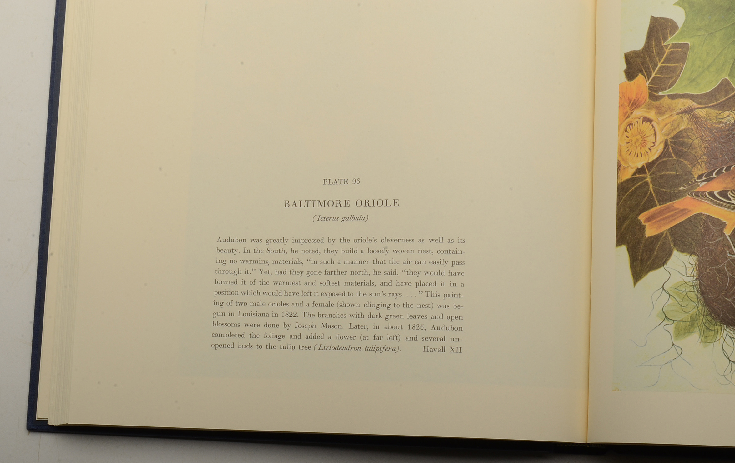 Two-Volume "Original Watercolor Paintings of John James Audubon"