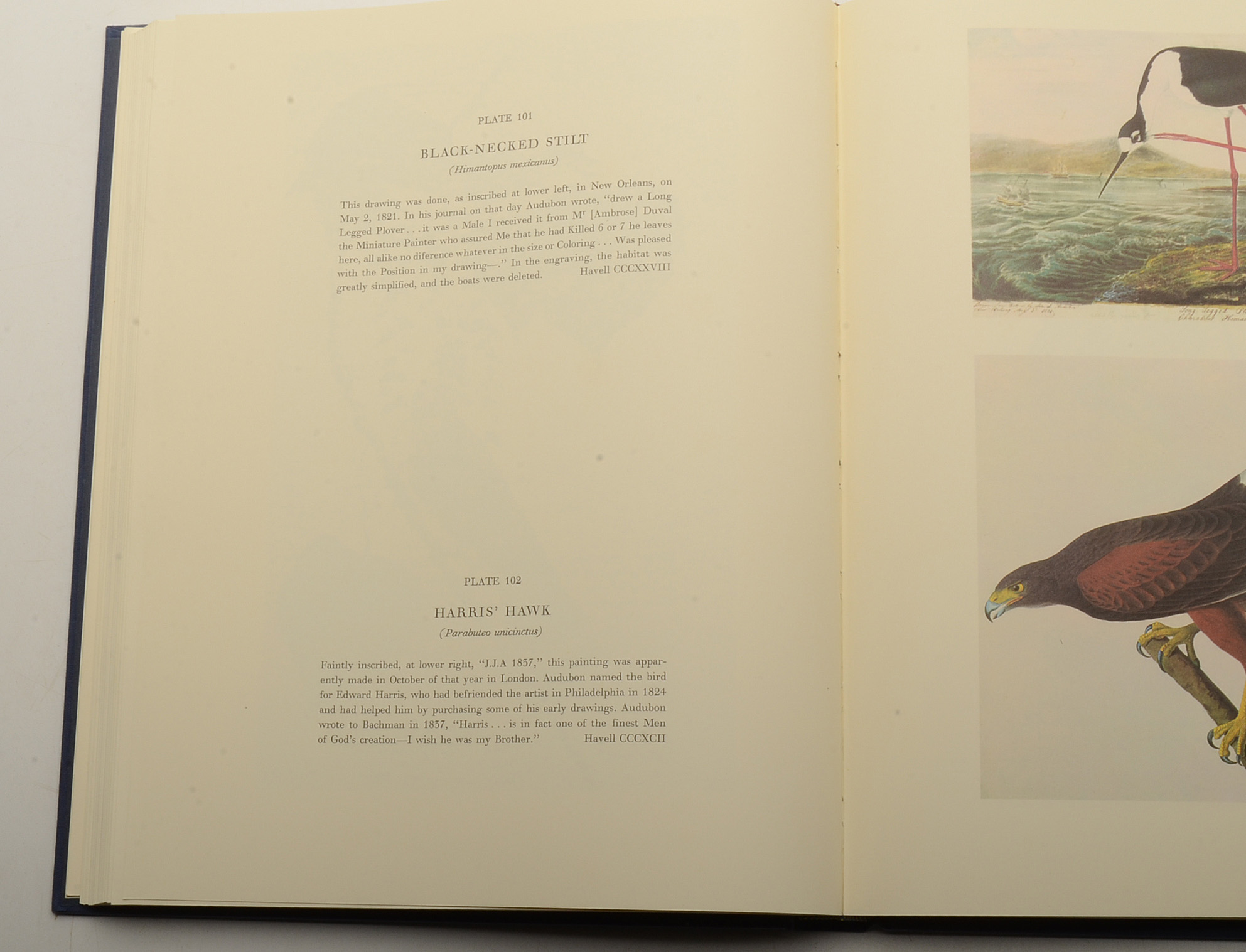 Two-Volume "Original Watercolor Paintings of John James Audubon"