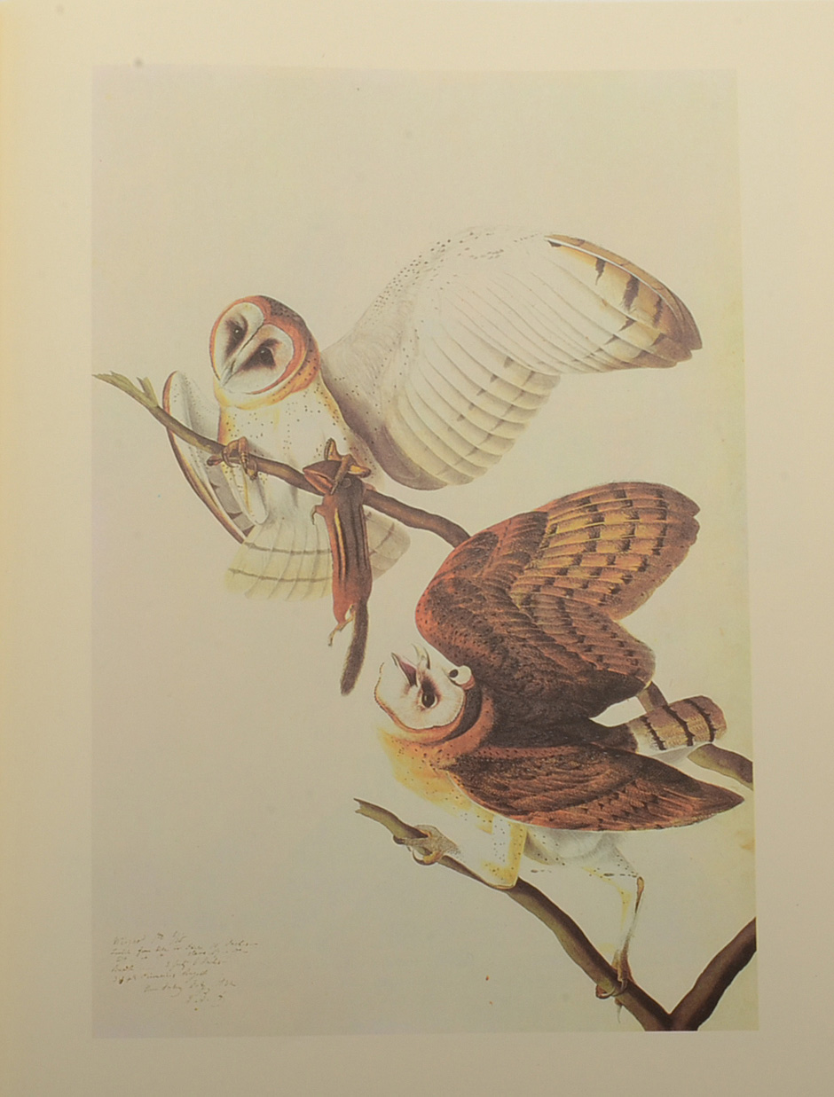 Two-Volume "Original Watercolor Paintings of John James Audubon"