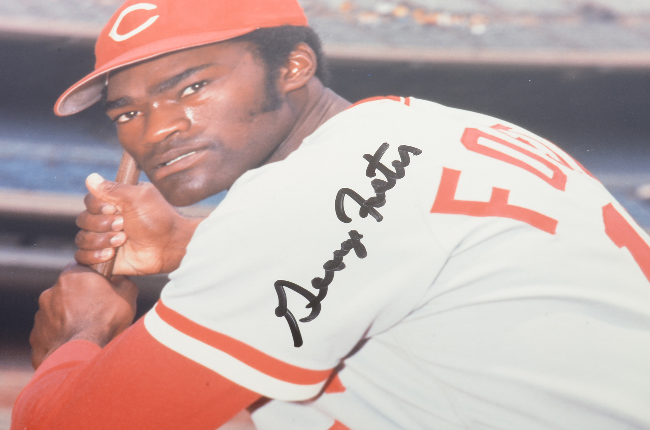 Group of (11) Signed George Foster Pictures