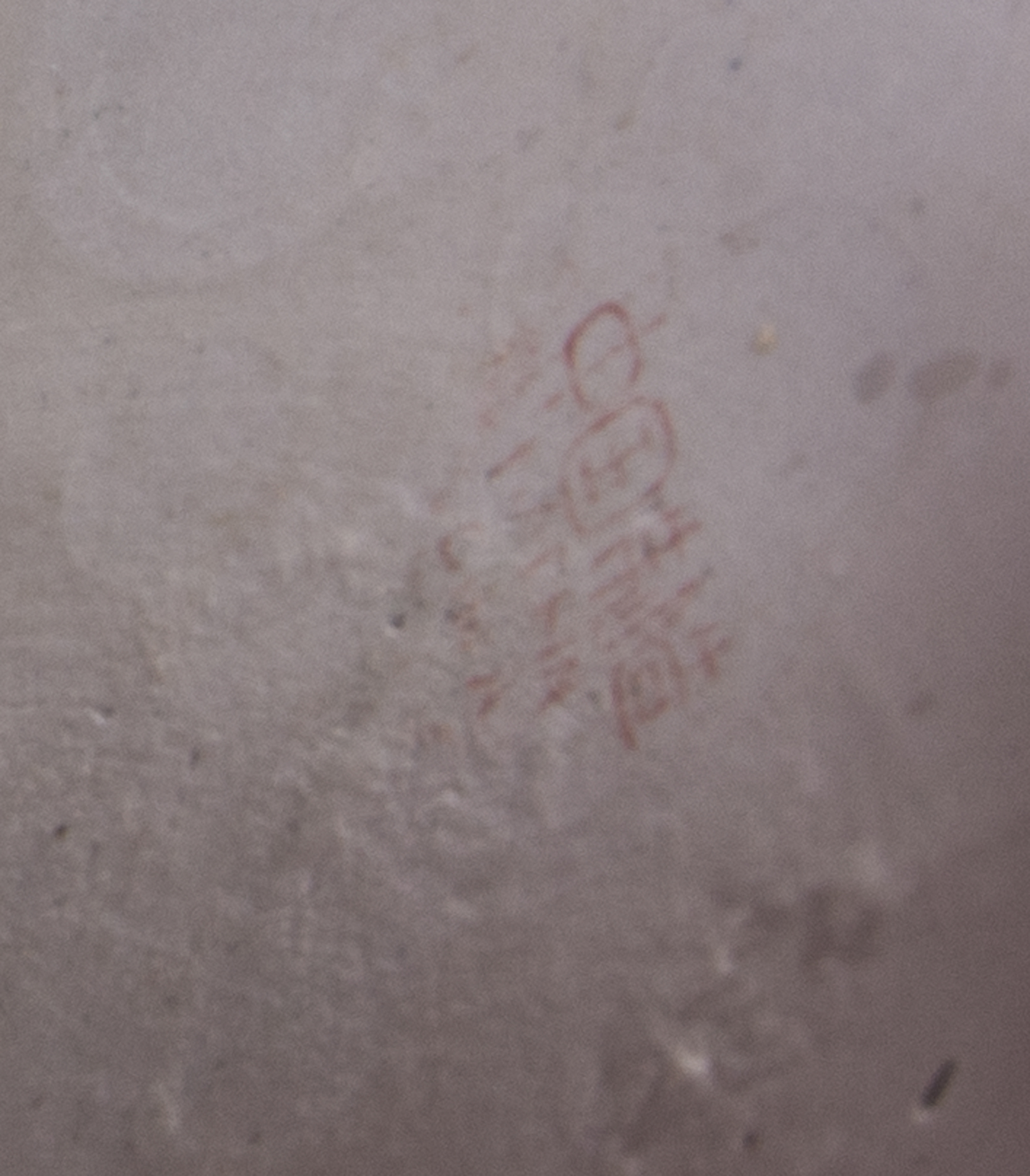 Chinese Blue and White Ceramic Planter with Stand