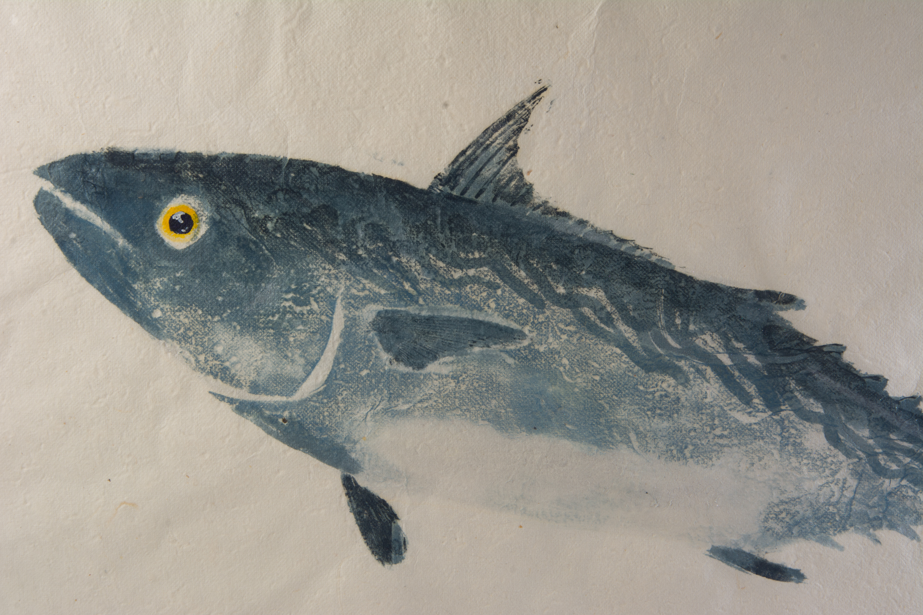 F.M. Steingress and Cat Wondergem Signed Gyotaku Fish Print