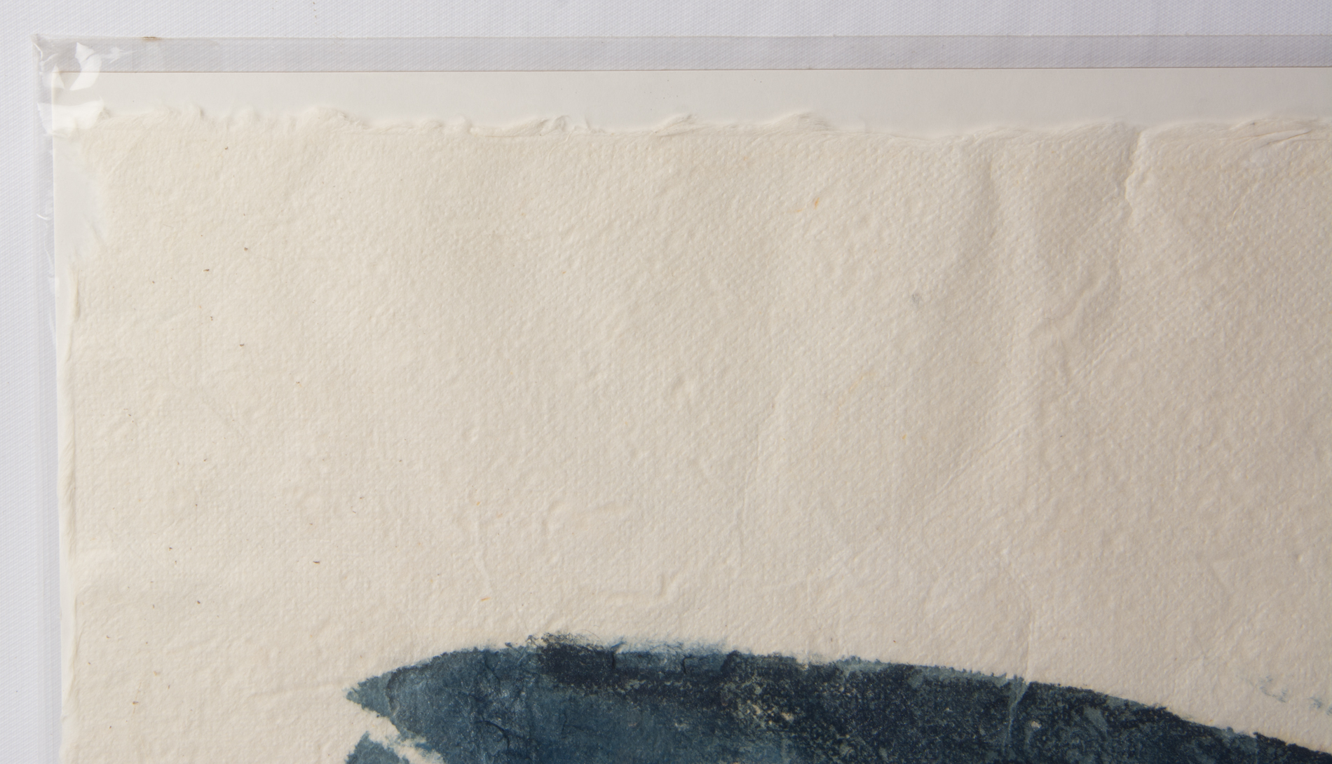 F.M. Steingress and Cat Wondergem Signed Gyotaku Fish Print