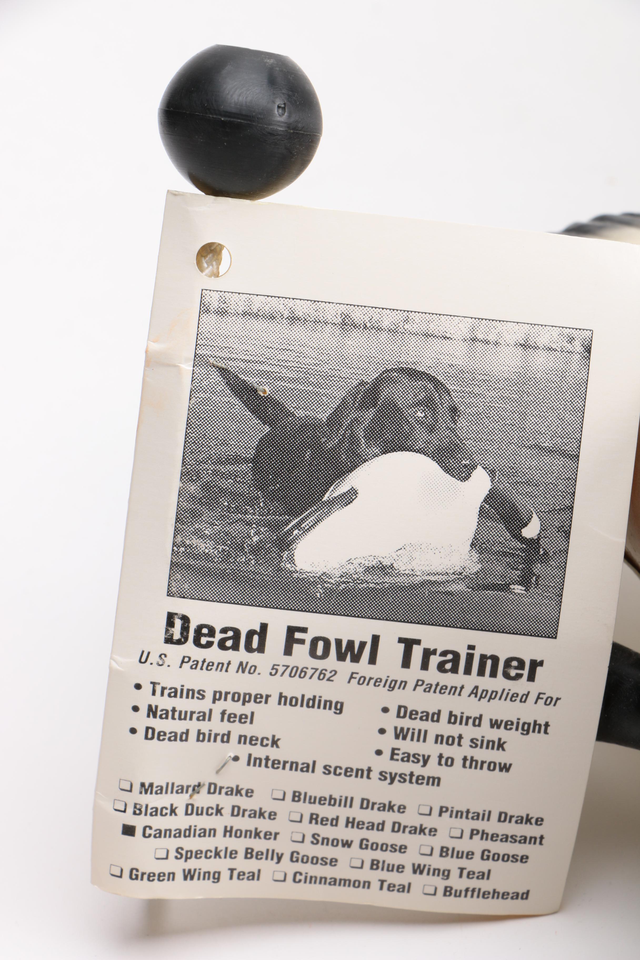 Dead Fowl Dog Trainer
