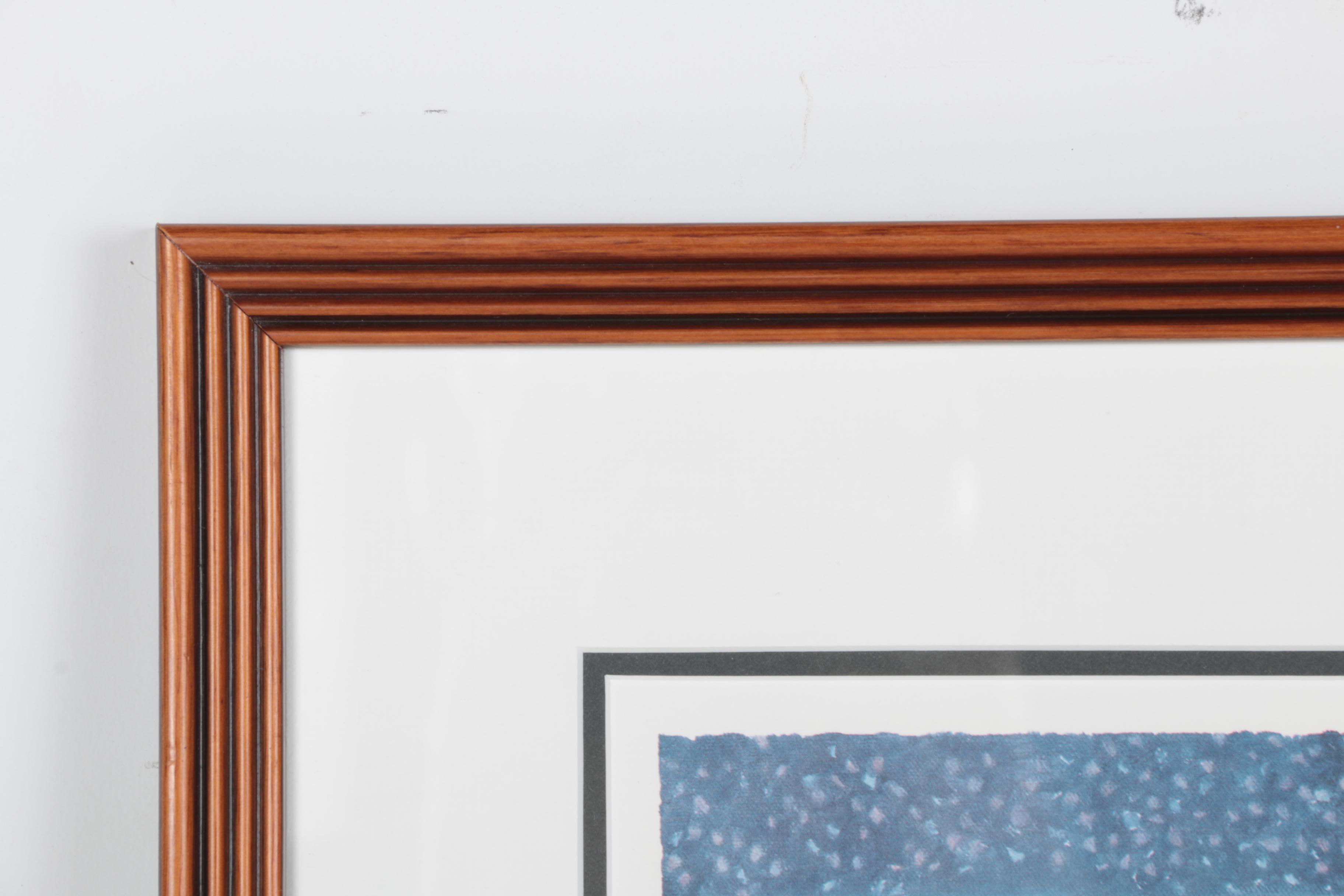 Michael J. Taylor Limited Edition Print Chicago Bears Autographed Mike Ditka