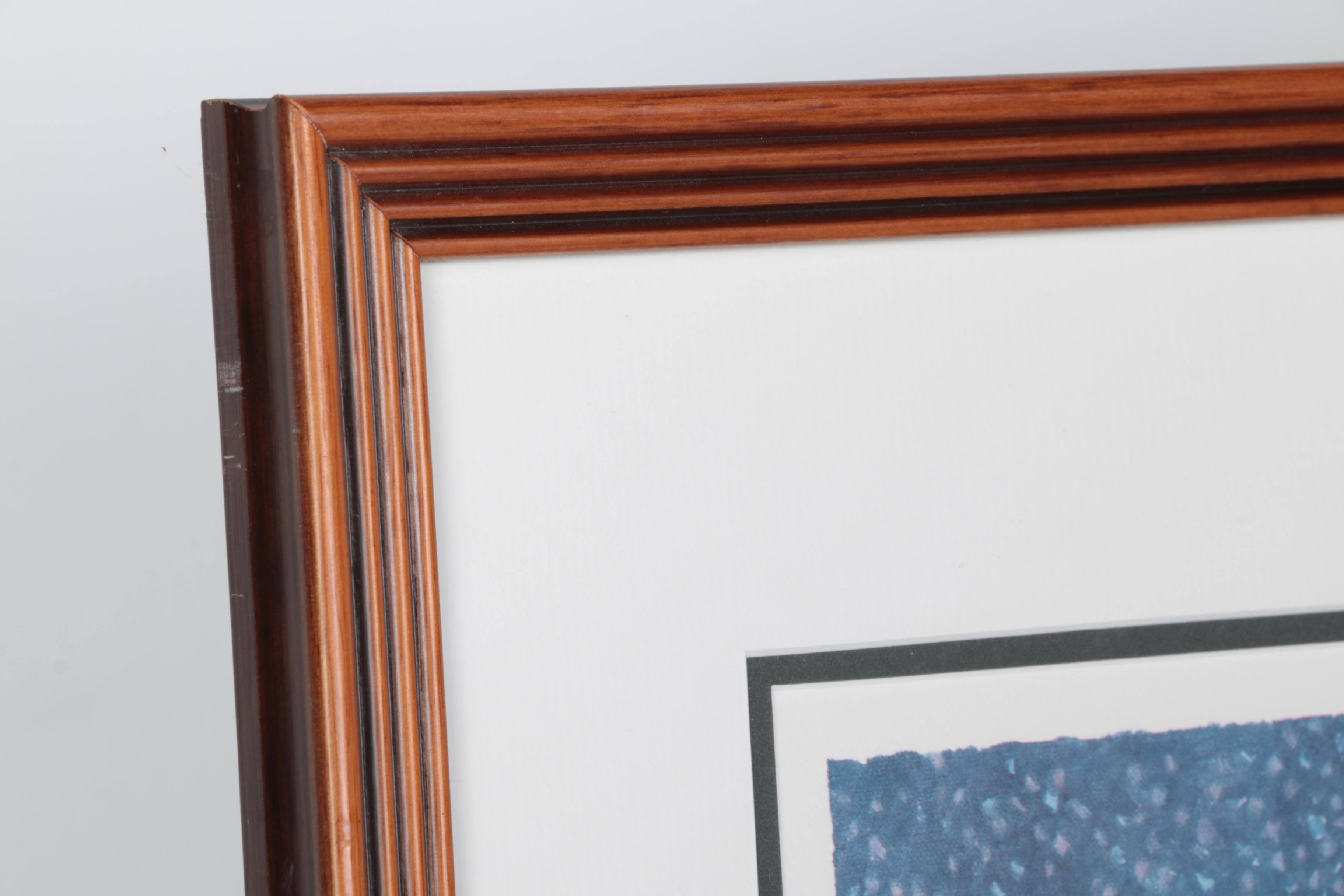 Michael J. Taylor Limited Edition Print Chicago Bears Autographed Mike Ditka